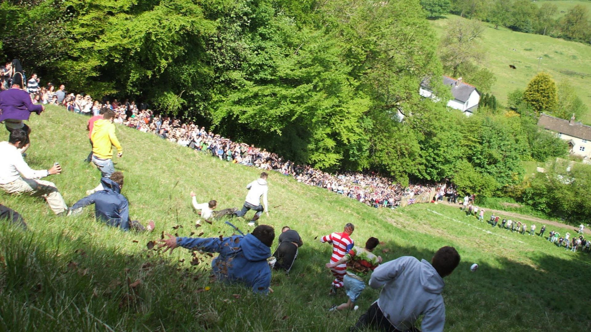 File:CheeseRolling.jpg