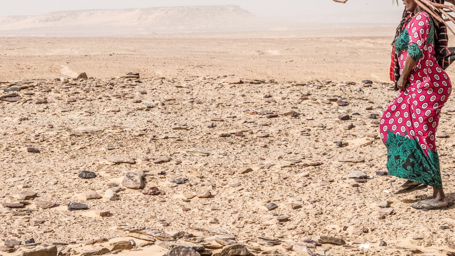 File:Chad 2017 Tigui Collecting fire wood DSC0695.jpg