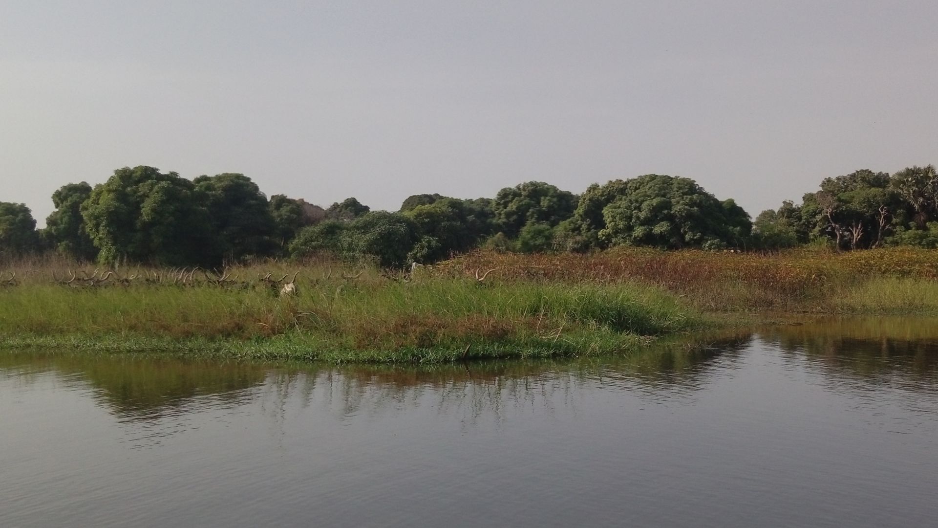 File:An evergreen lake chad shore (detilt).jpg