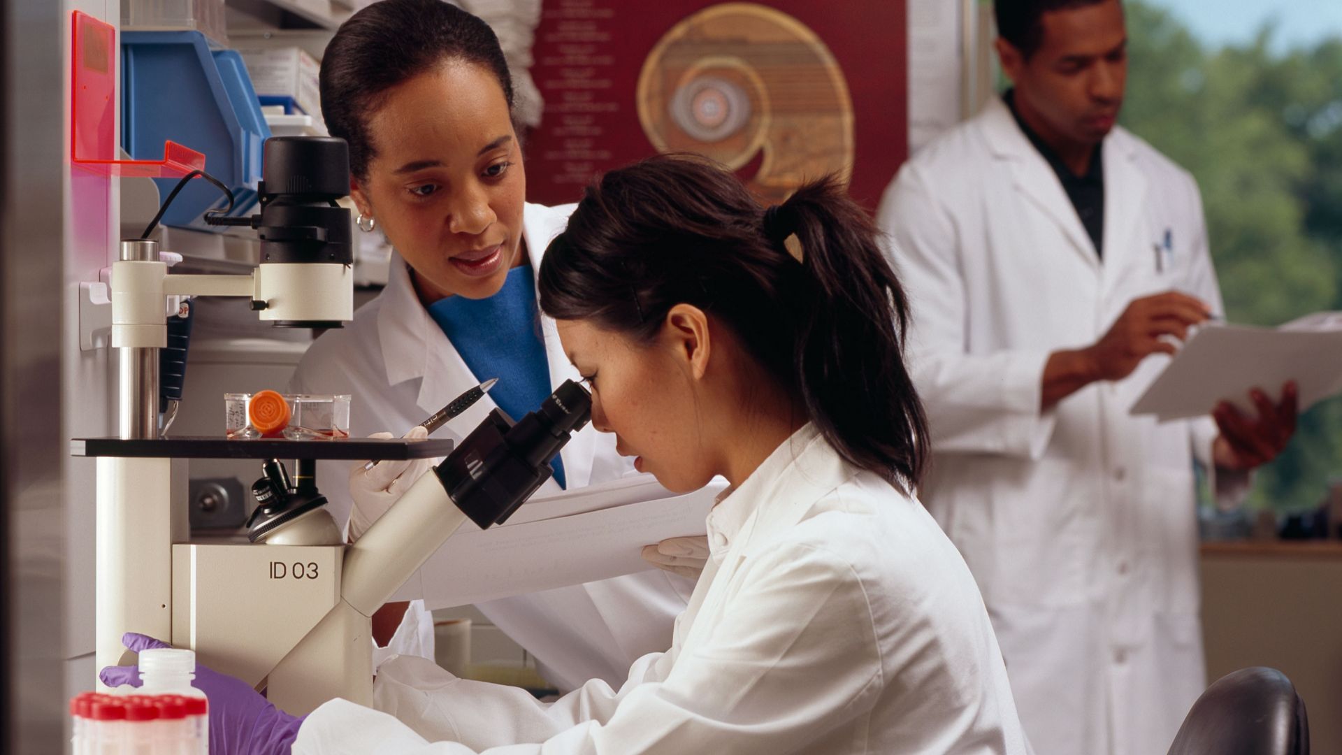 File:Researchers in laboratory.jpg