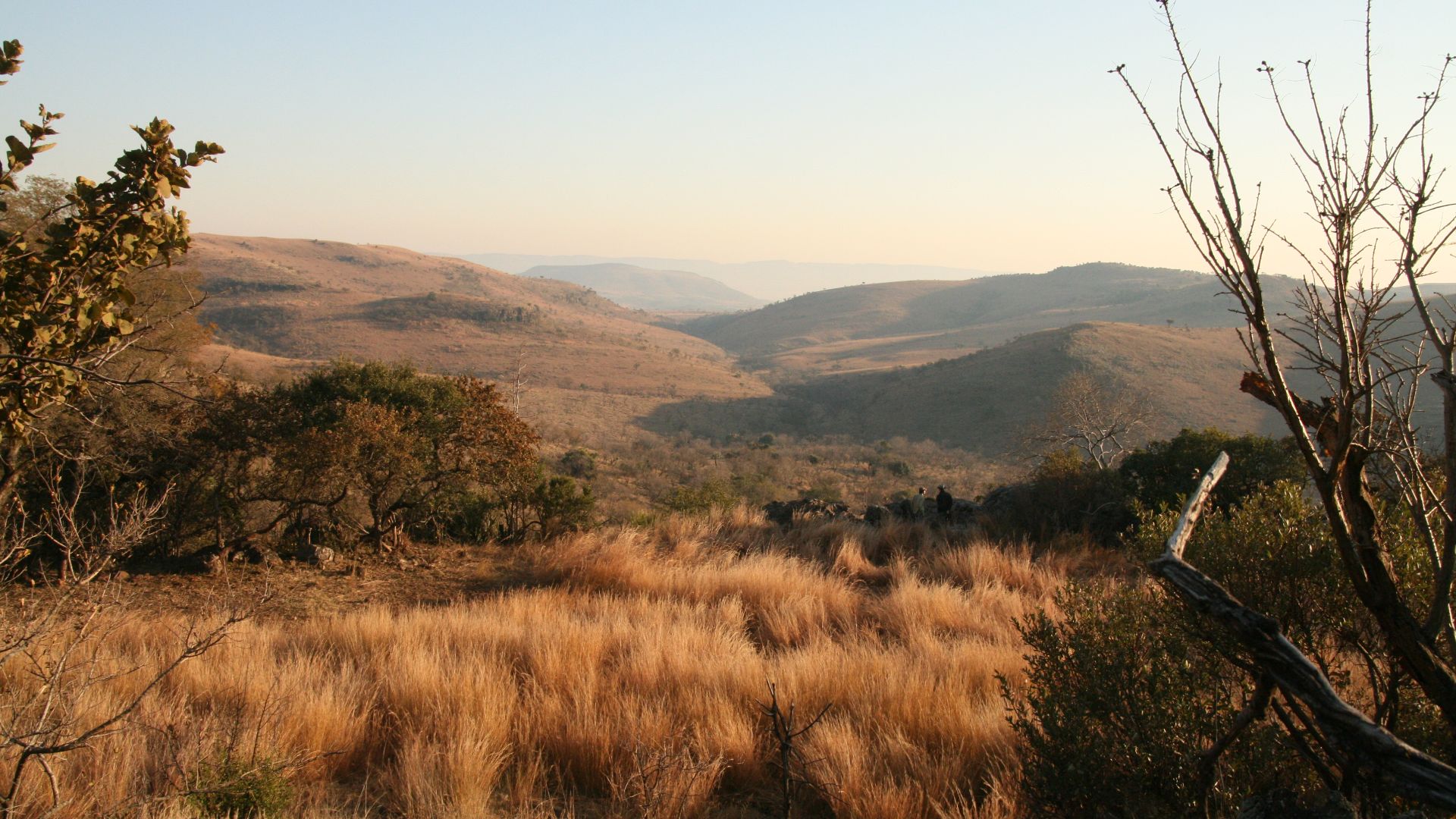 File:The Malapa valley.jpg