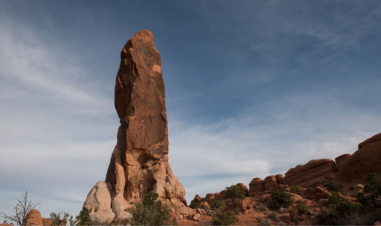 Untitled Design - 2026-01-14T131304.699