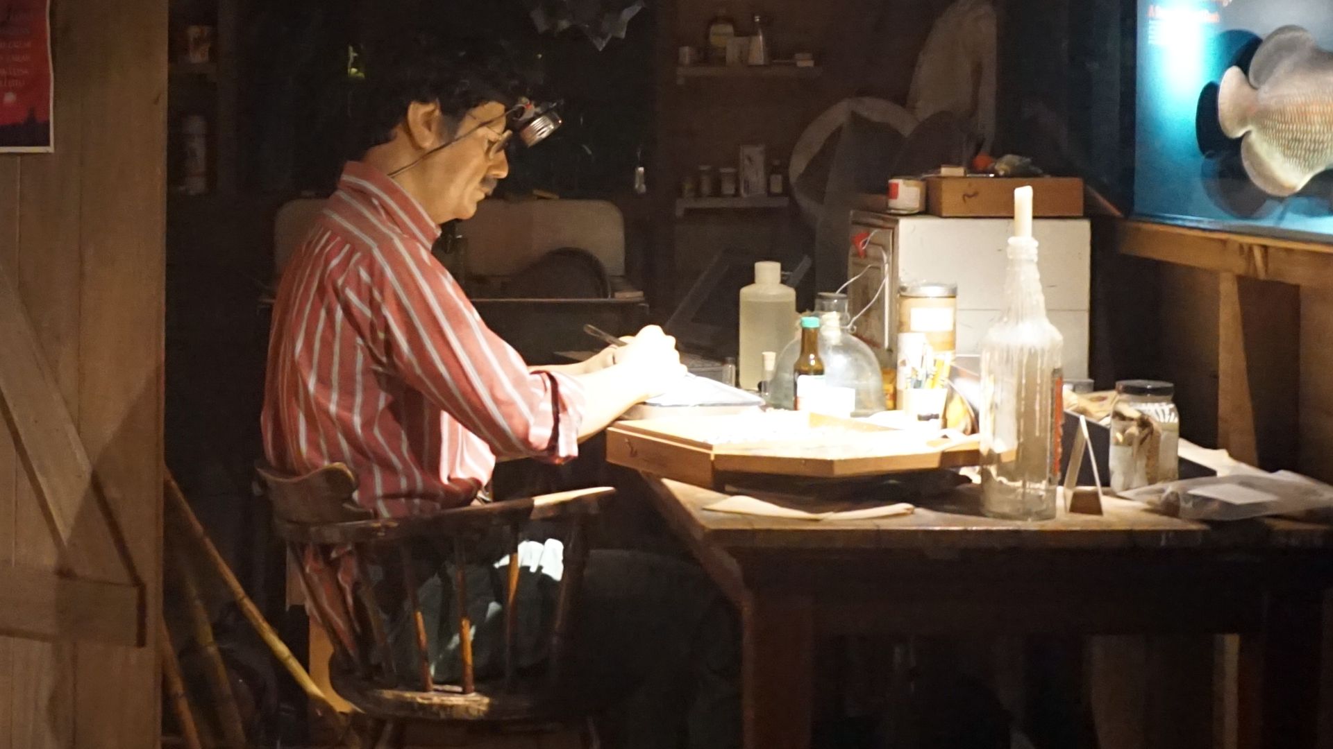 File:Milwaukee Public Museum October 2023 09 (Rainforest--Today's Scientist- In the Field).jpg