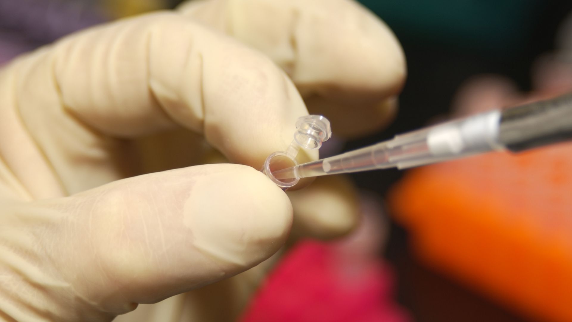 File:NHGRI researcher uses a pipette to remove DNA from a micro test tube.jpg