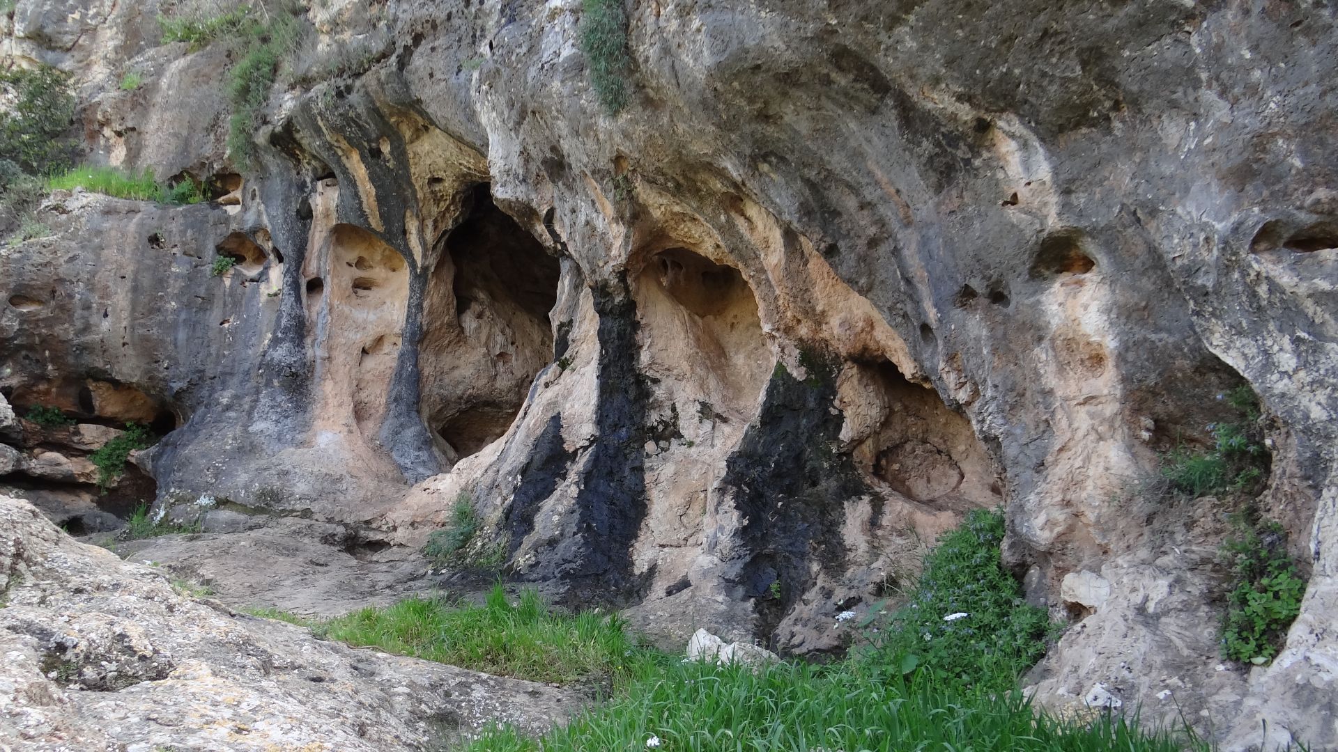 File:Skhul Cave 2018 (3).jpg