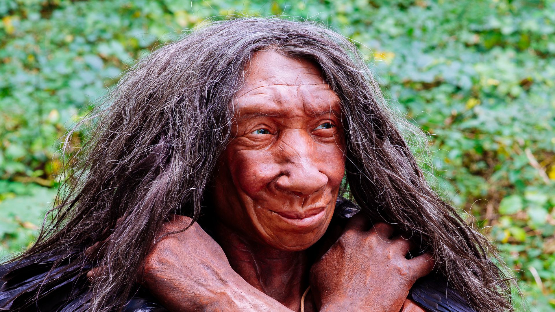 File:Homo sapiens neanderthalensis (Fundort Gibraltar).jpg