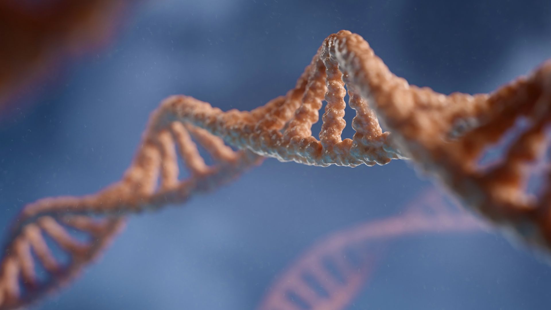 a close up of a structure with a blue background