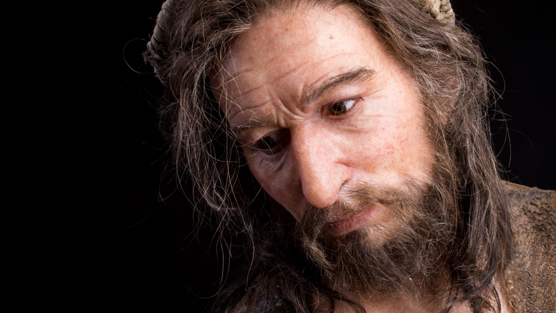 File:Homo sapiens - Metal Age - reconstruction - MUSE.jpg