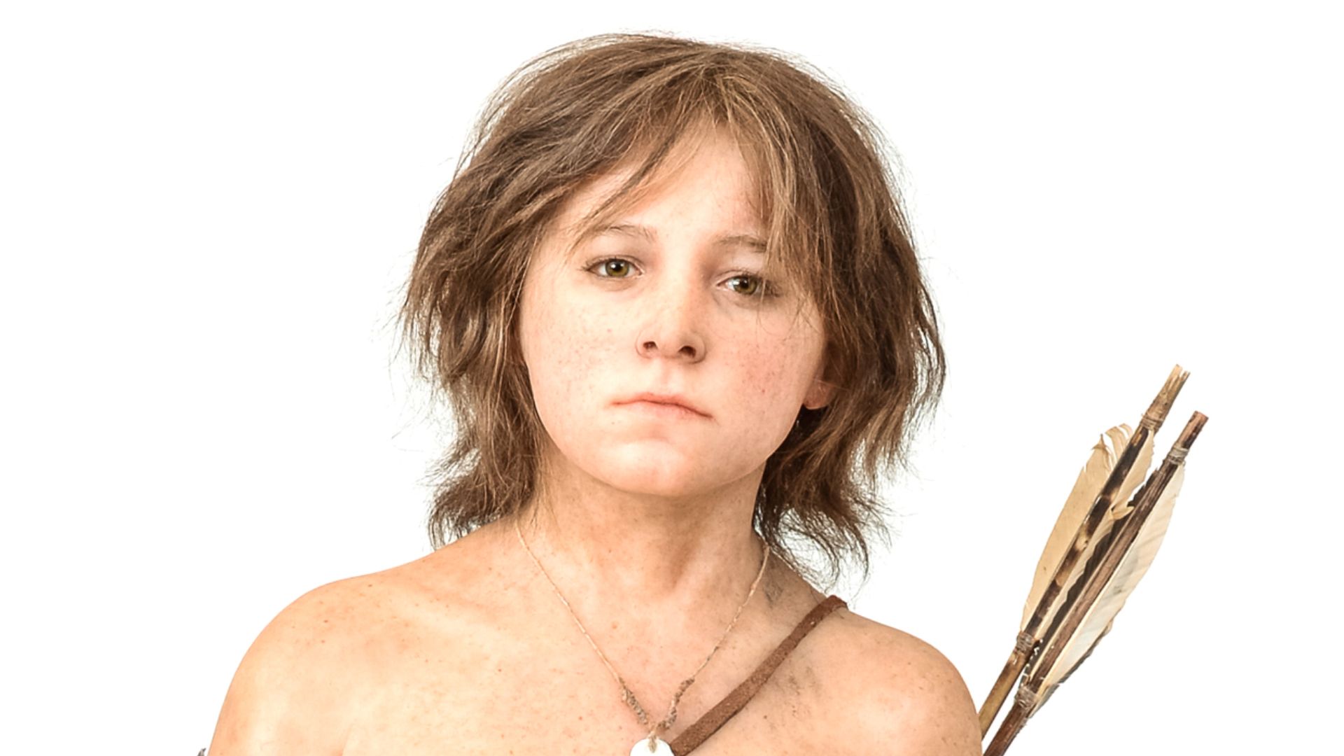 File:Homo sapiens - Mesolithic - reconstruction - MUSE.jpg