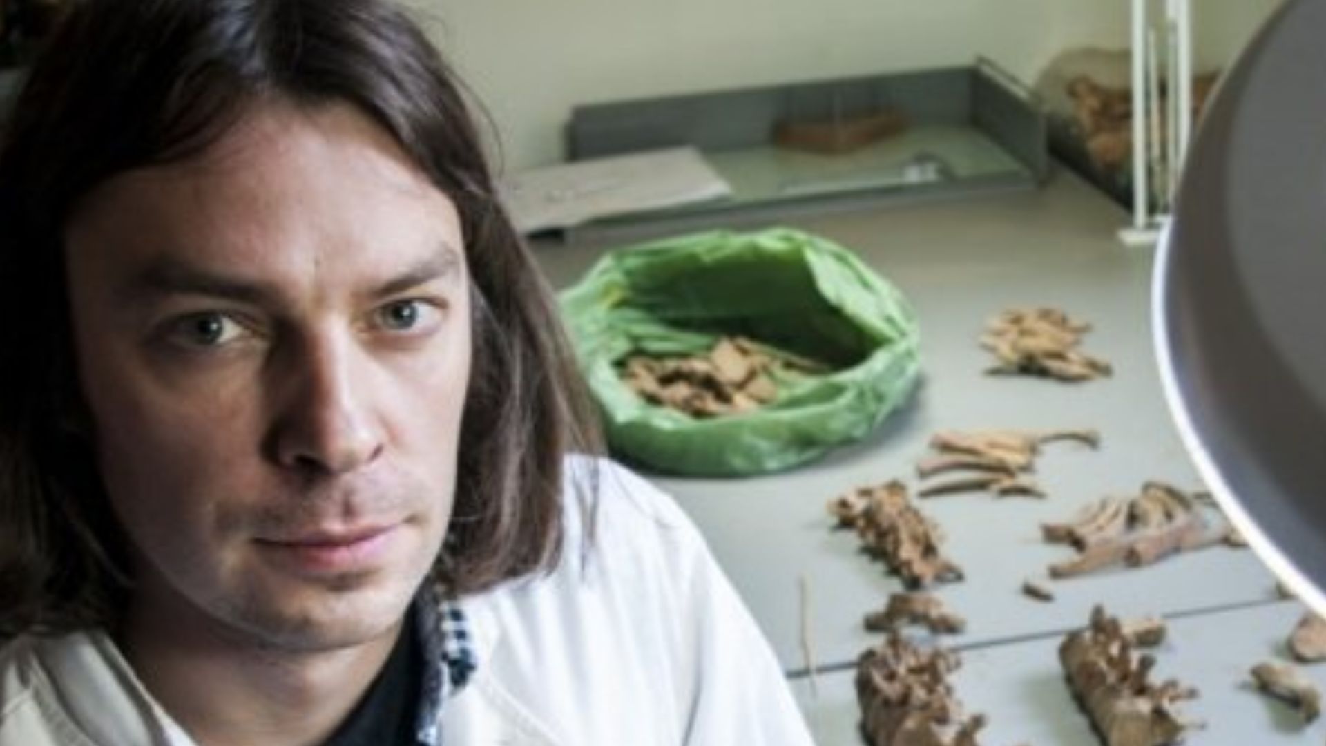 File:Physical anthropologist.jpg