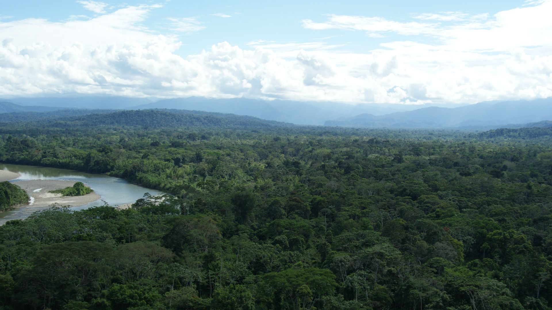 File:Ecuadorian Amazon.jpg