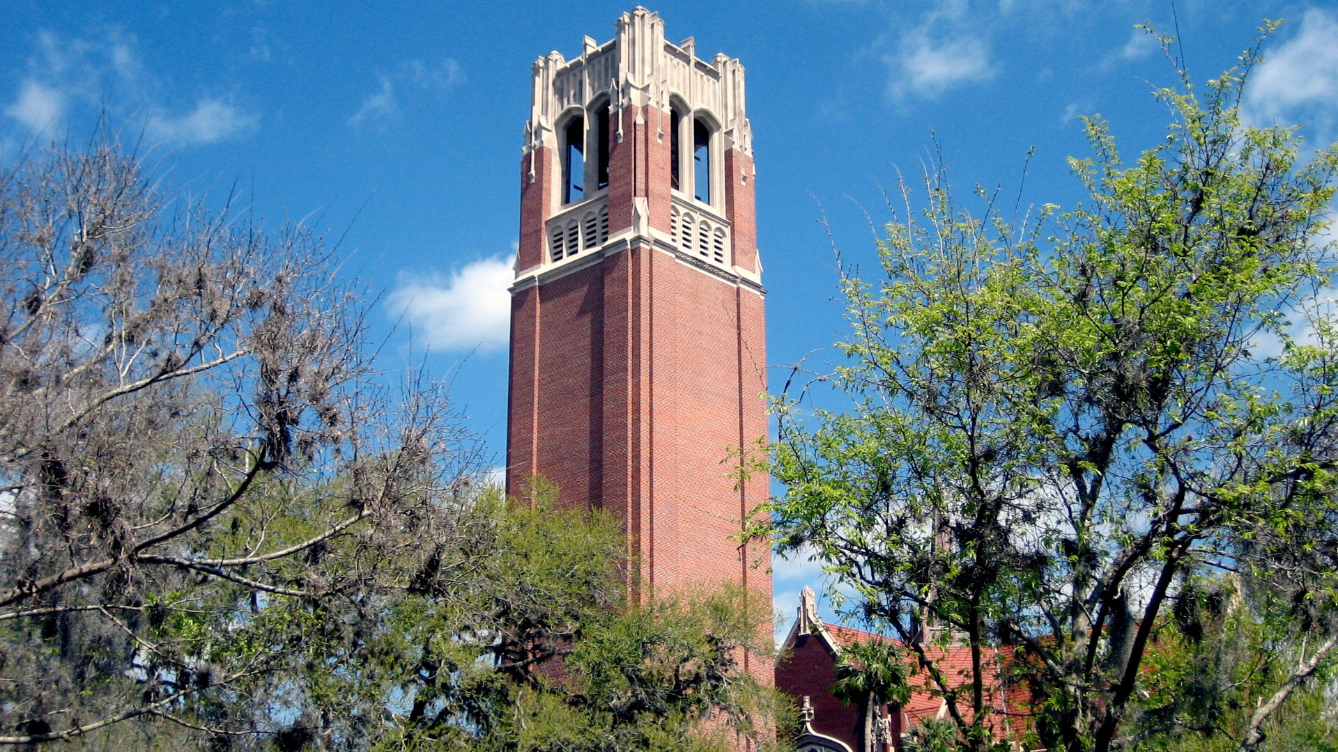 File:Century Tower (University of Florida).jpg