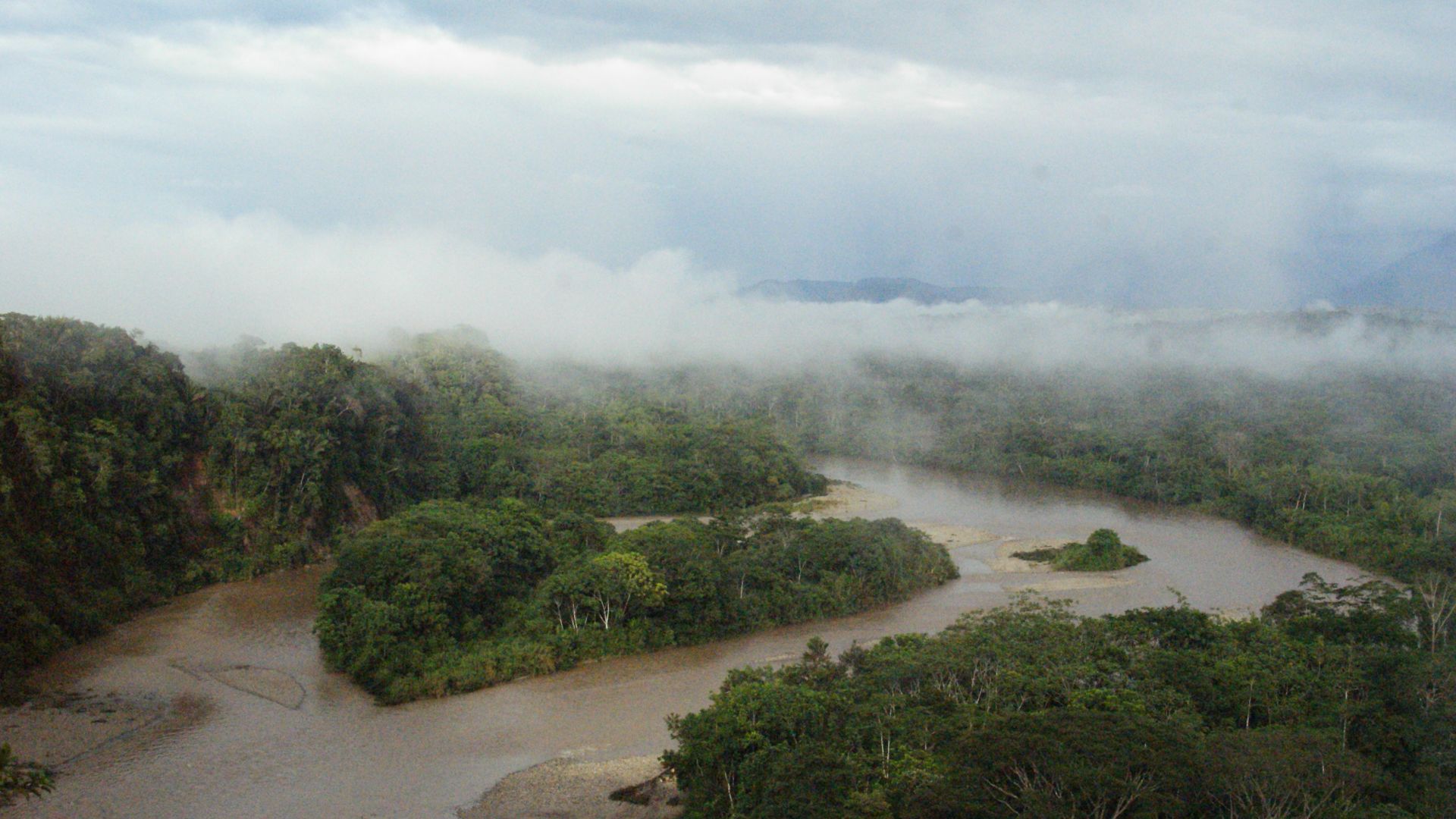 File:Ecuadorian Amazon, Tena.jpg