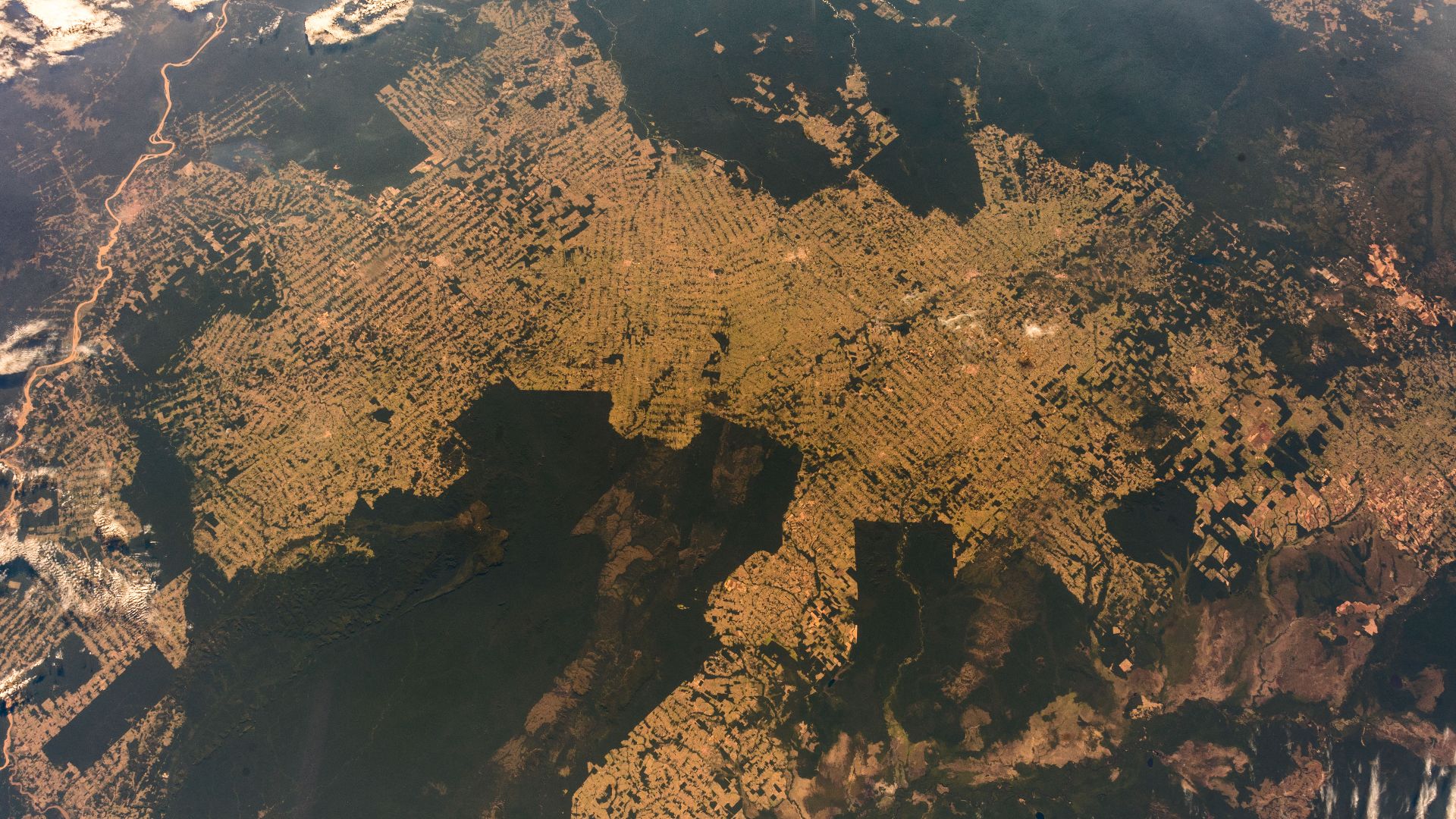 File:Amazon rainforest (Satellite picture) - 3.jpg