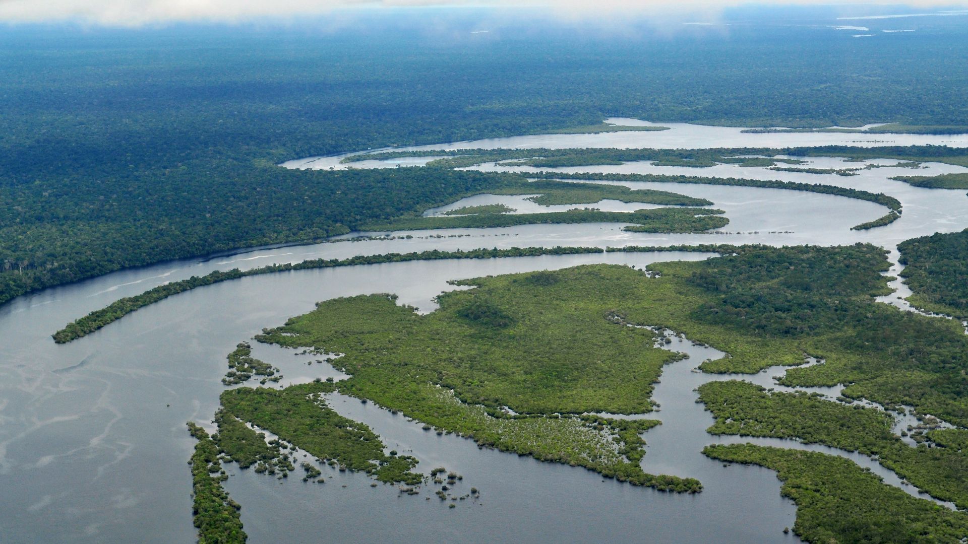 File:Amazon17 (5641020319).jpg