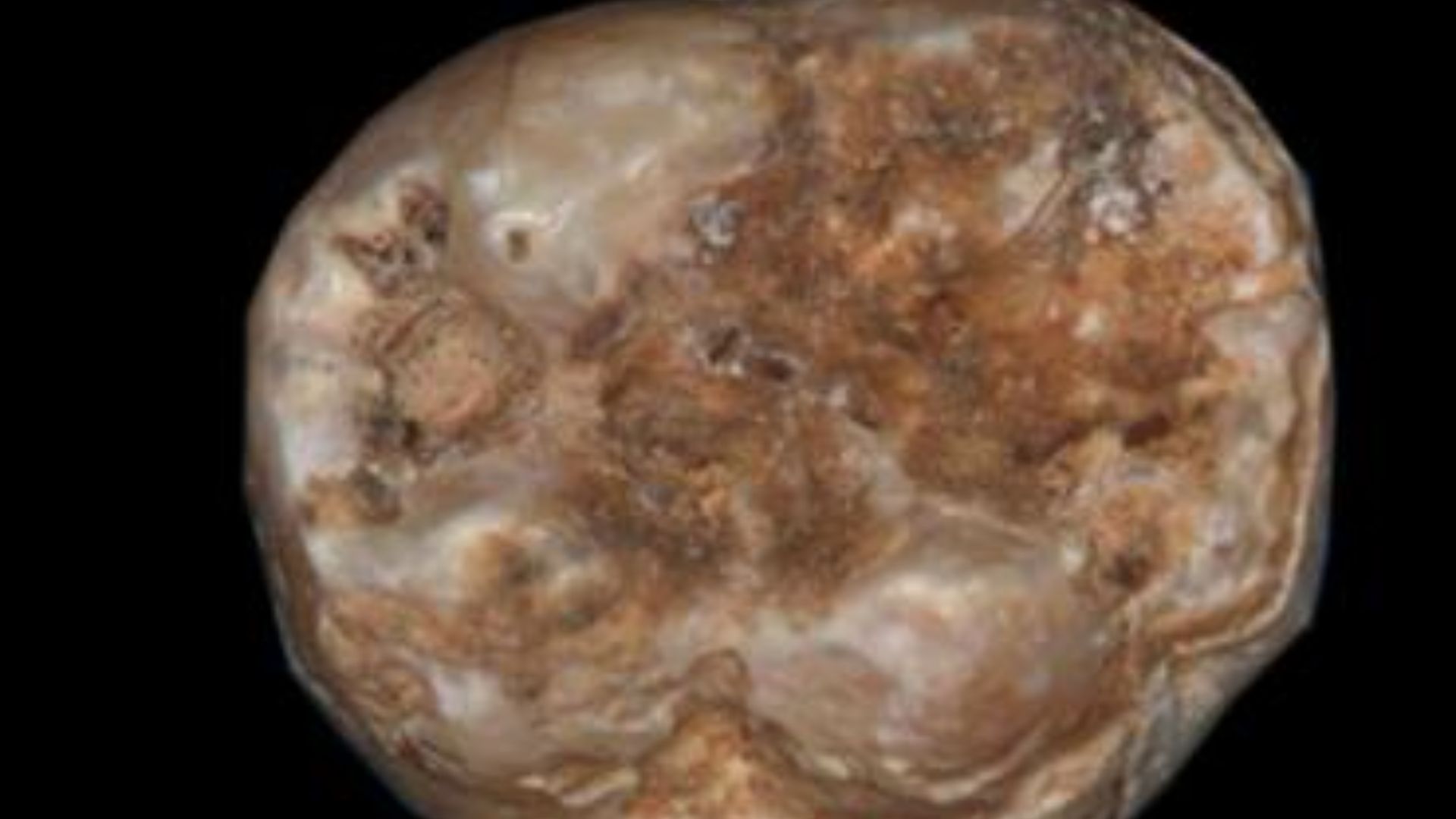 File:Fossil Qesem teeth.jpg