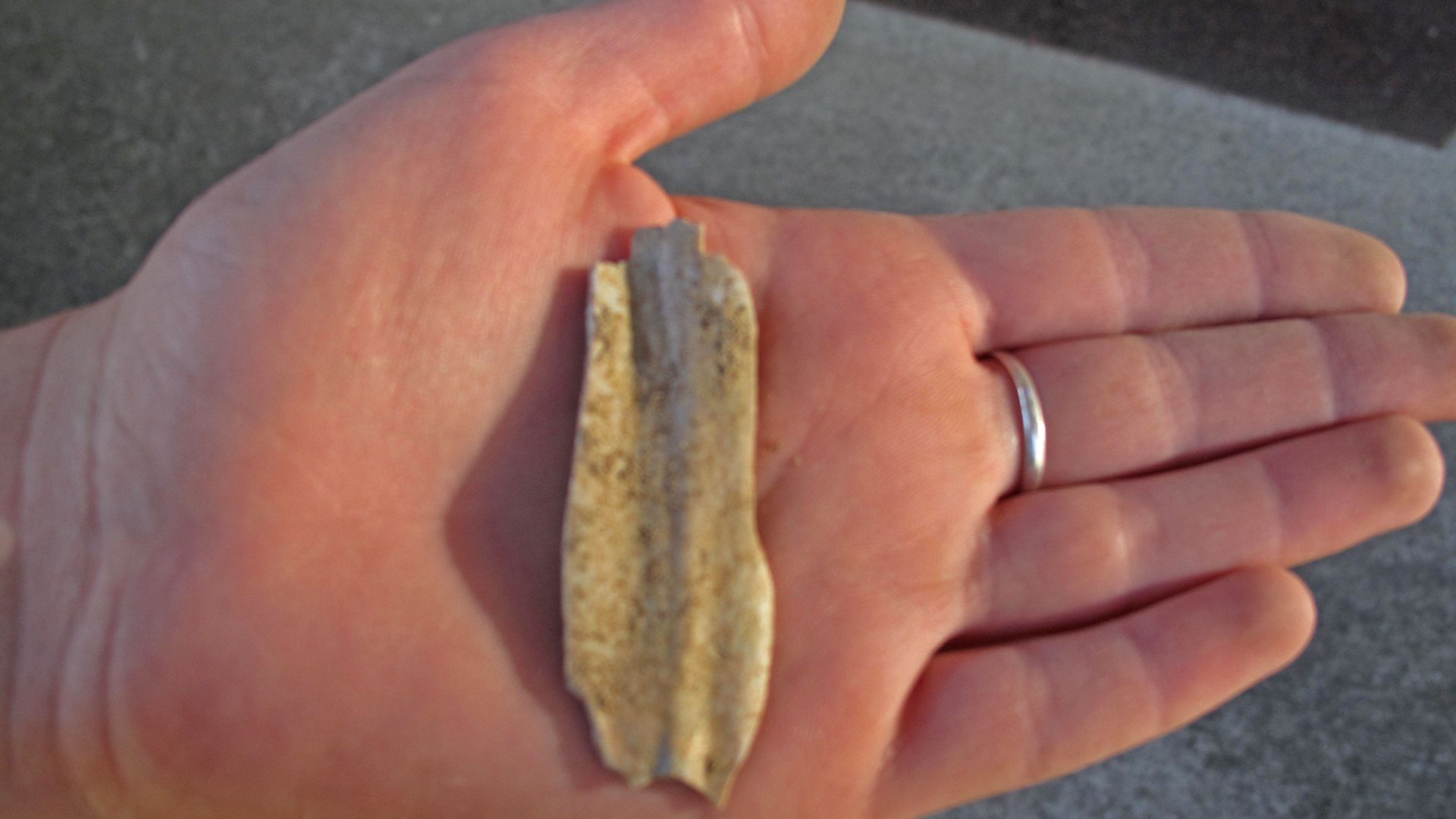 File:My Public Lands Roadtrip- Rimrock Draw Rockshelter in Oregon (19214009681).jpg