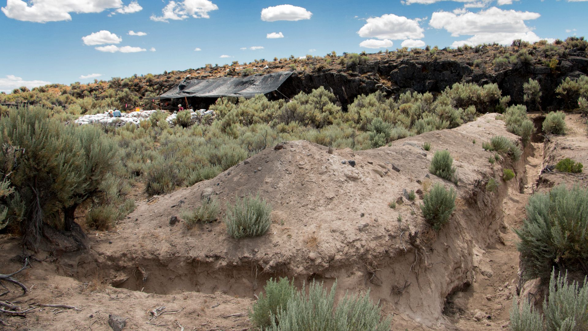 File:Rimrock Draw Rockshelter (28674549766).jpg