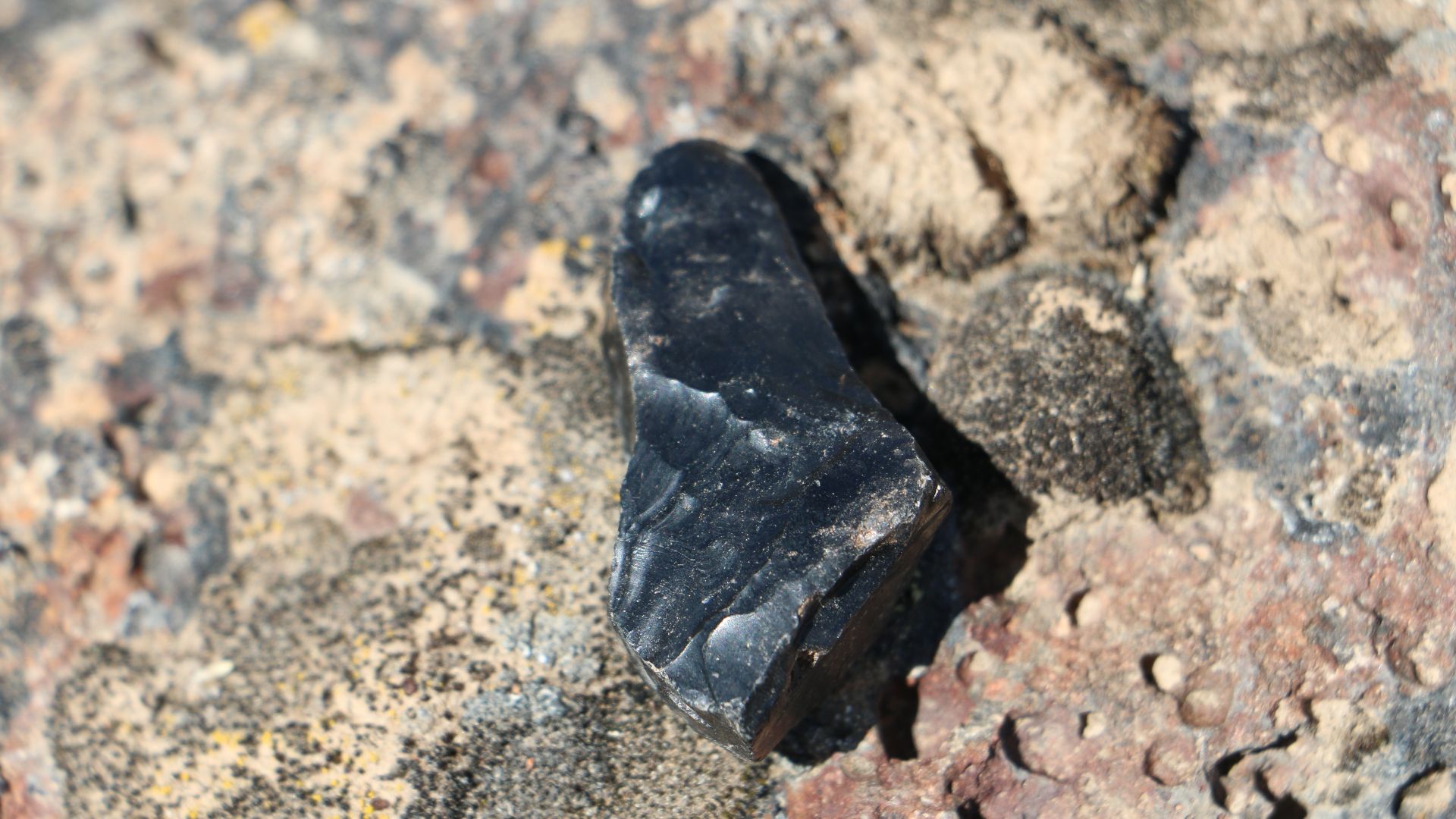 File:Rimrock Draw Rockshelter (28601137032).jpg