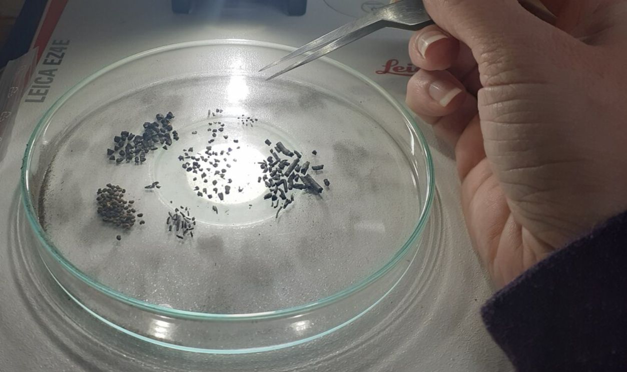 Untitled Design - 2026-01-02T150425.140