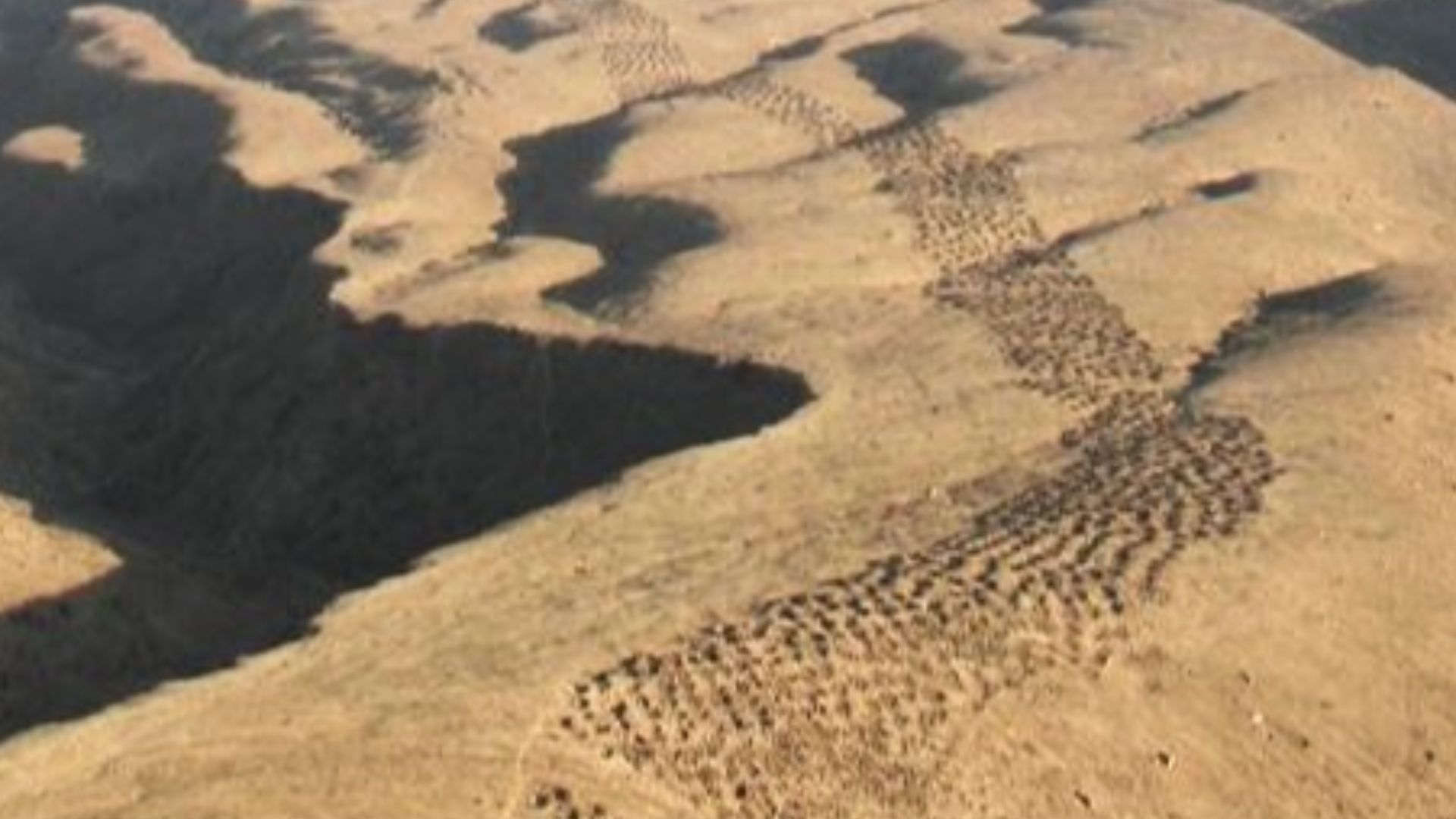 File:Faixa de Buracos - Linhas de Nazca - Peru - Band of Holes - 2 - panoramio.jpg