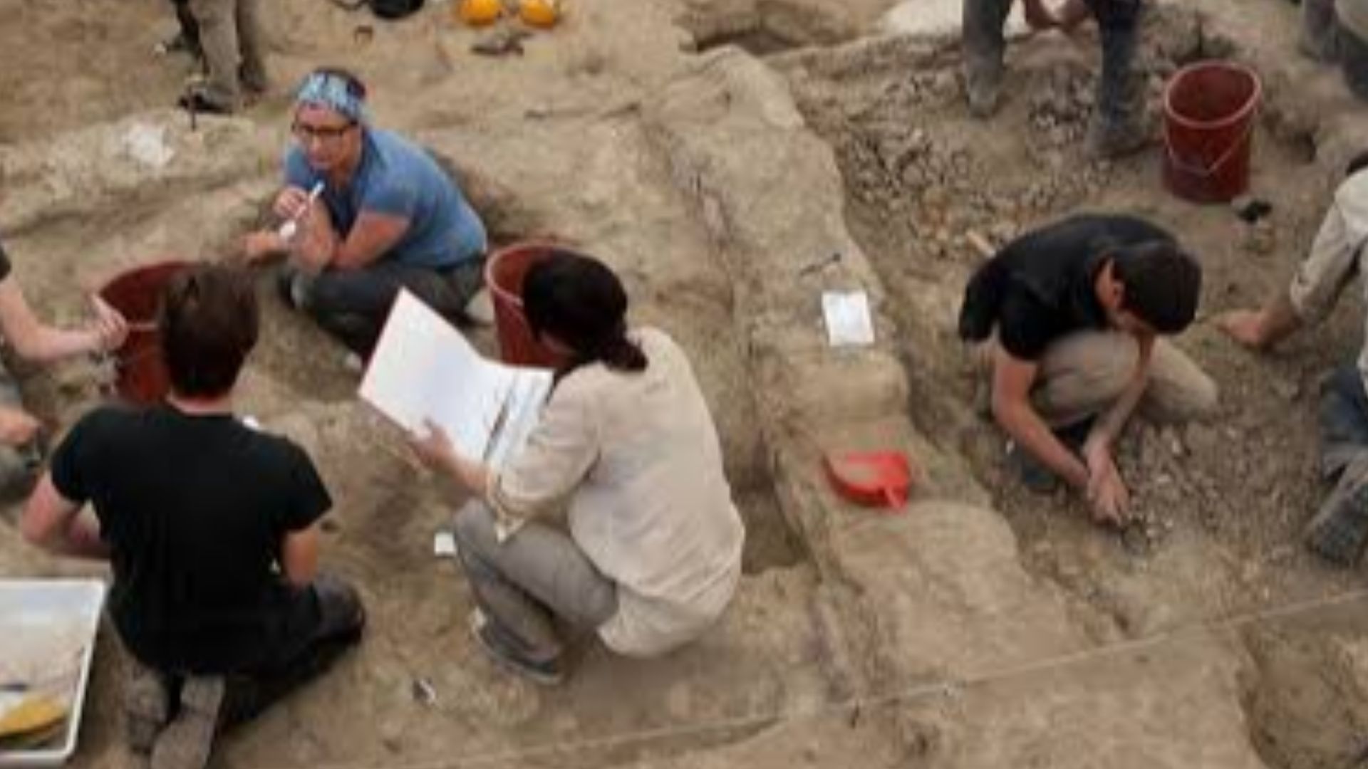 File:Archaeological excavation.jpg