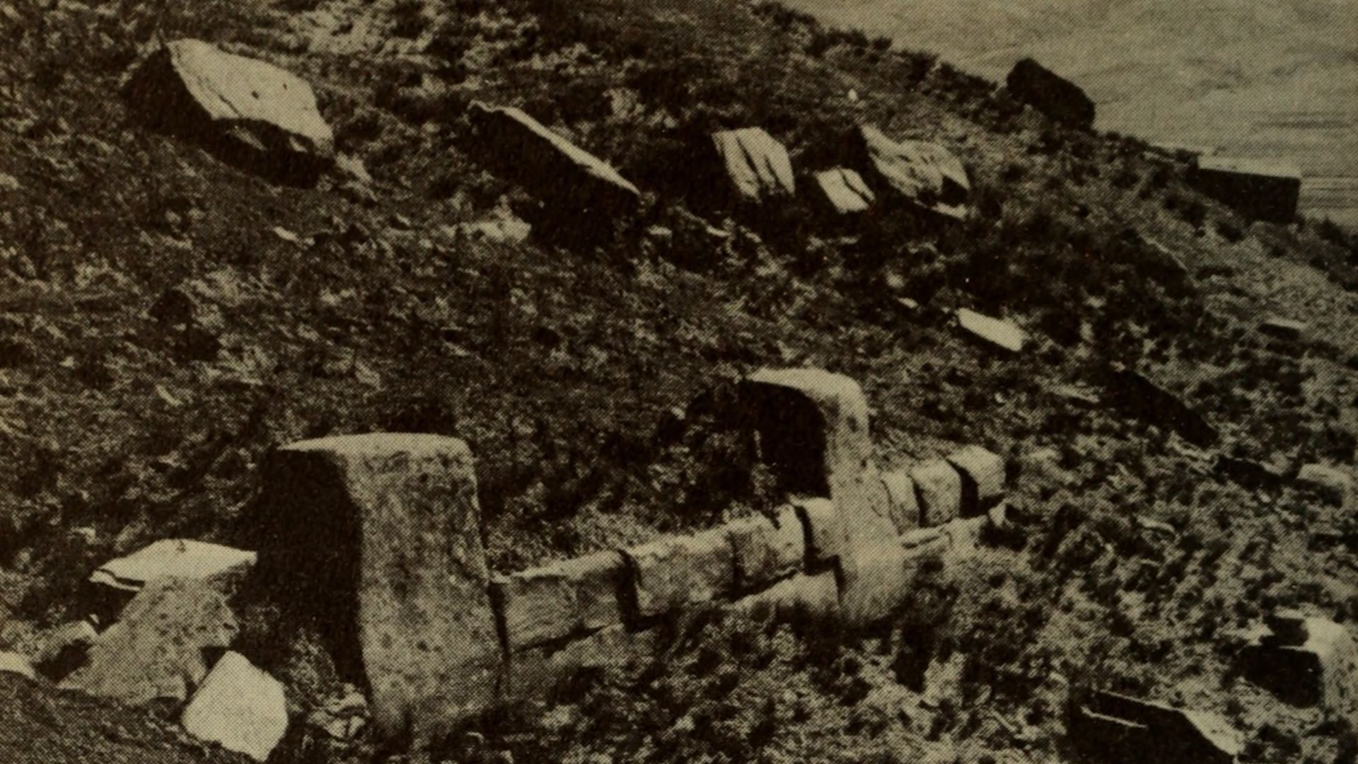 File:Andean culture history (1964) (18007646698).jpg