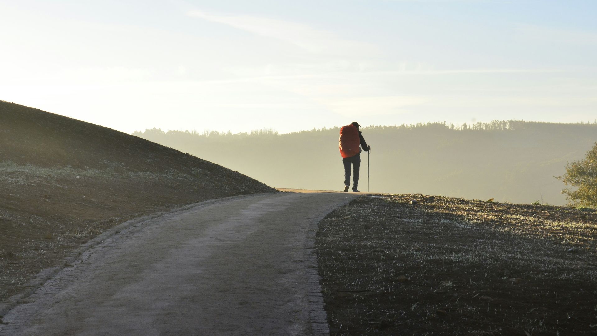 person walking on road during daytime
