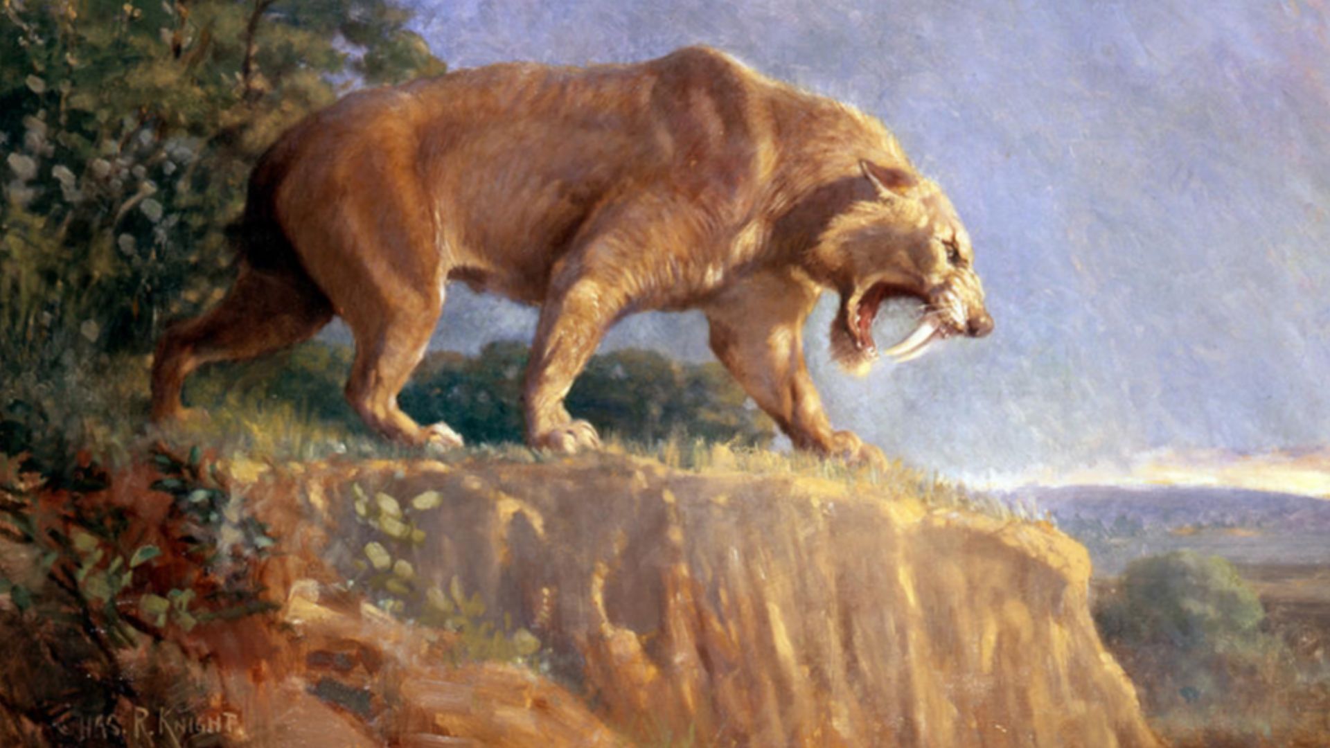 File:Smilodon Knight.jpg