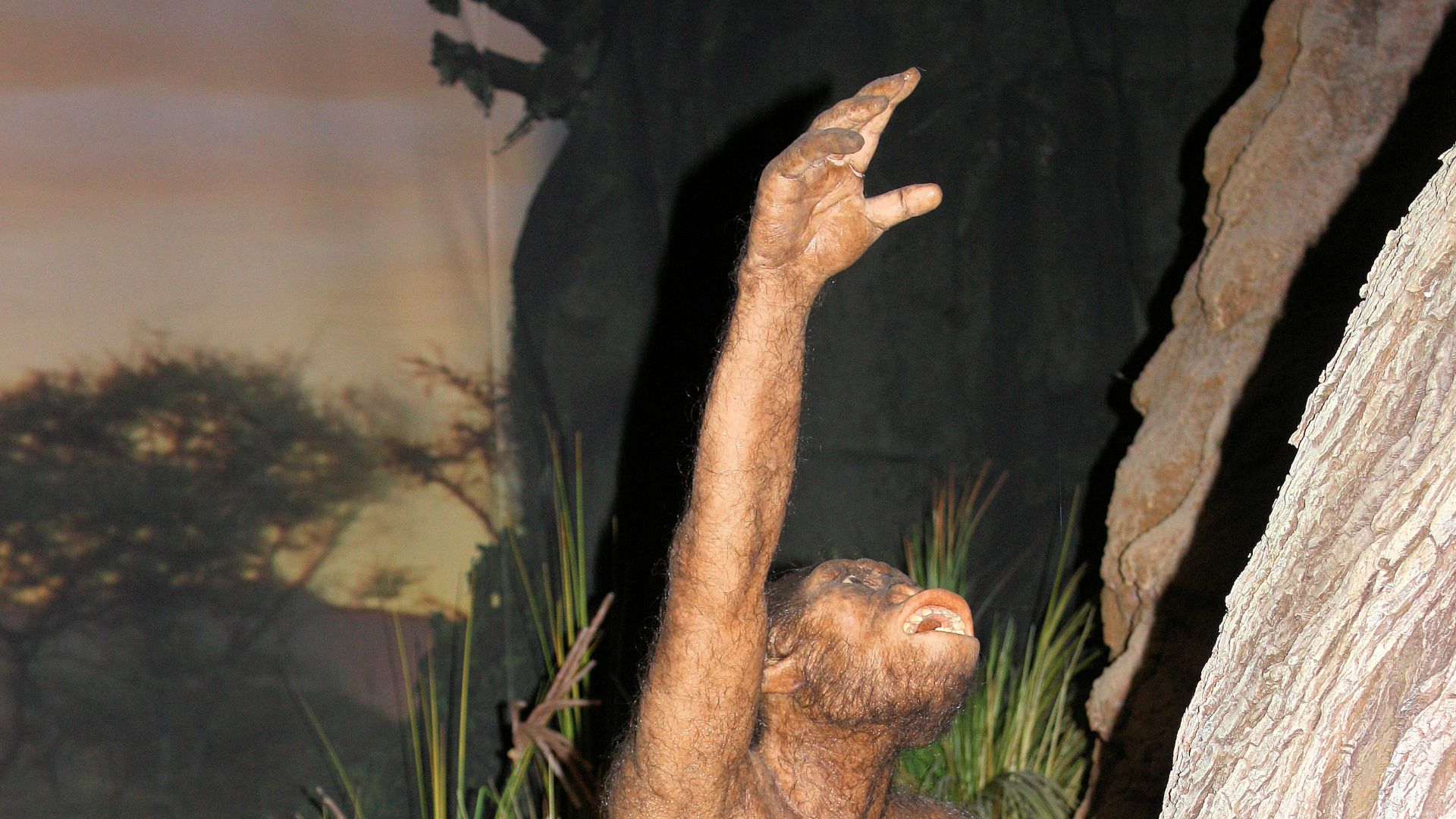 File:GONDWANA - Das Praehistorium, Homo erectus-3.jpg