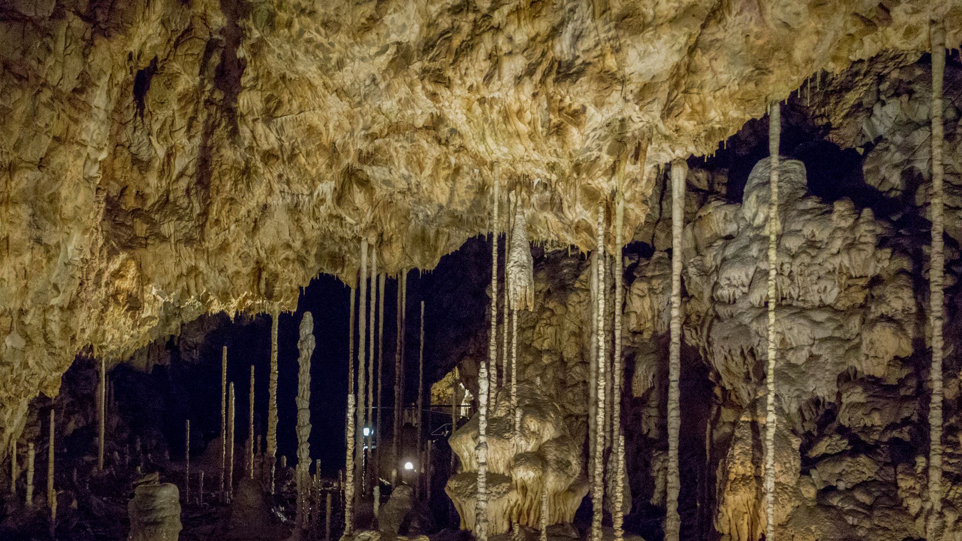 File:Bambusový lesík01(js).jpg