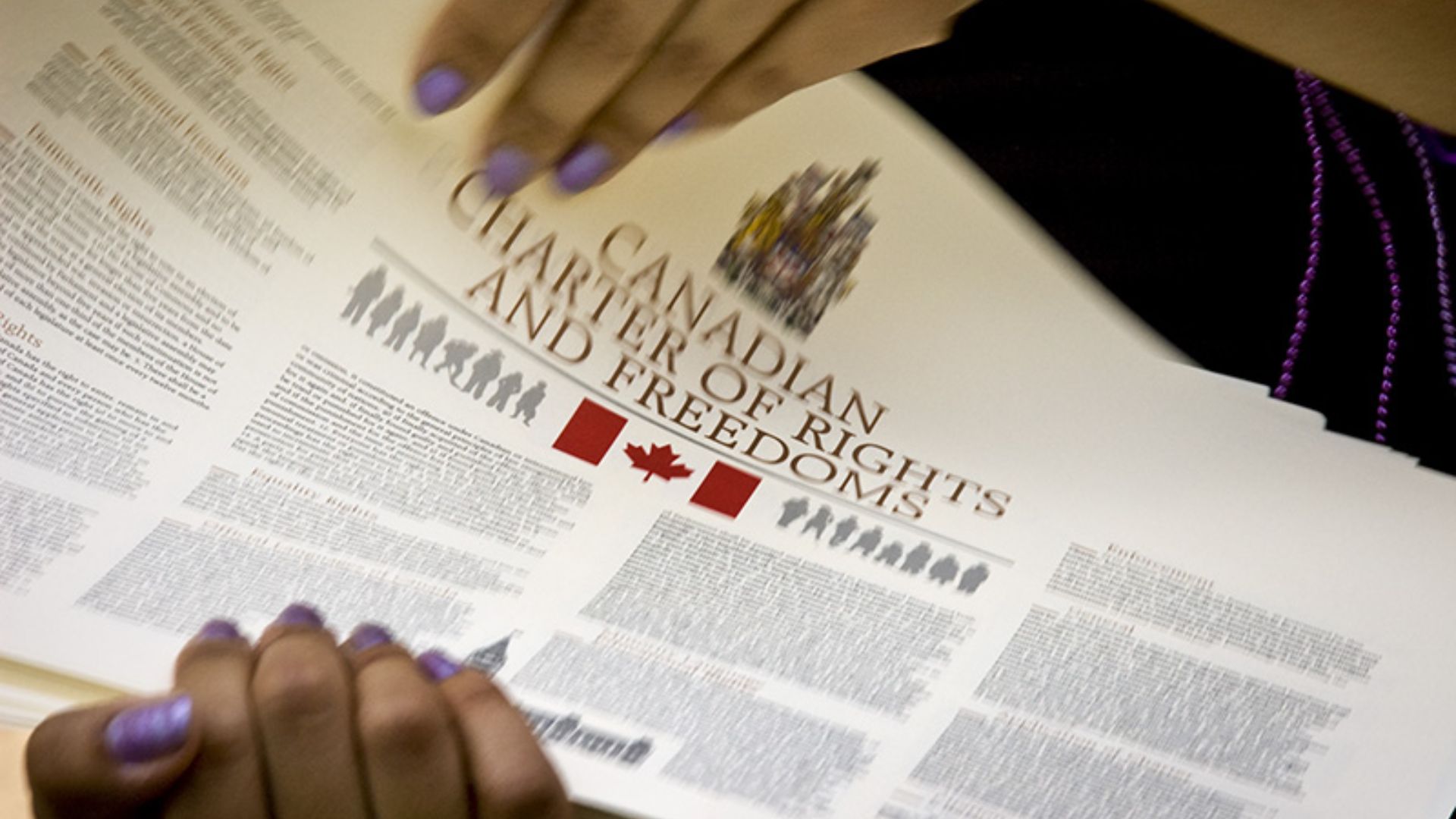 File:Every Canadian Needs A Copy.jpg