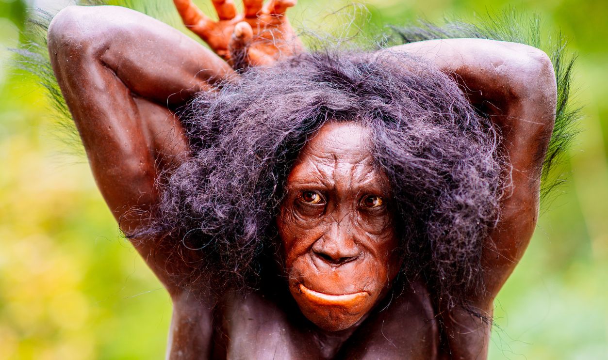 Australopithecus sediba