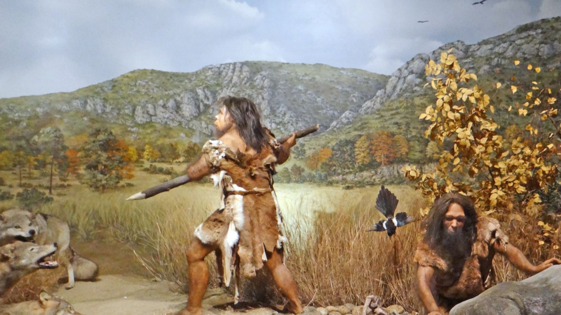 File:Le musée de préhistoire (Tautavel) (14498190867).jpg