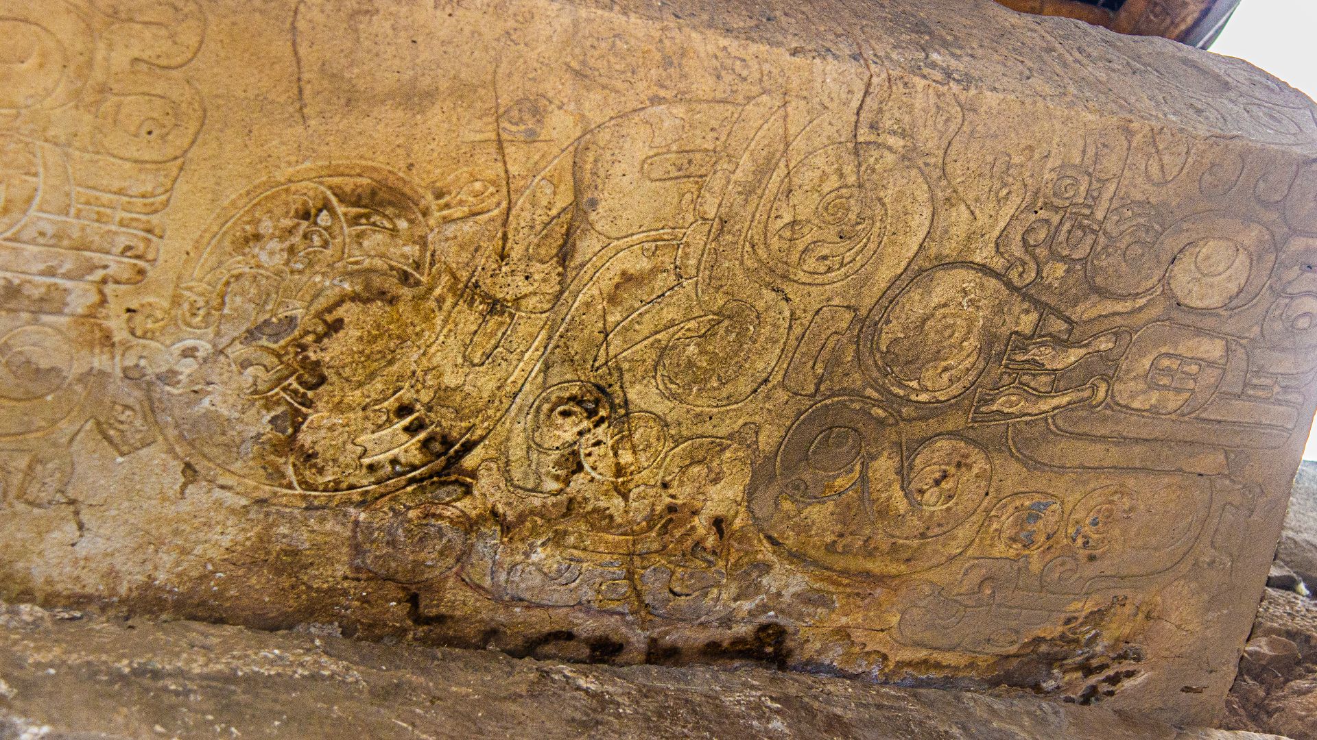 File:Chavín de Huántar - 51148870256.jpg