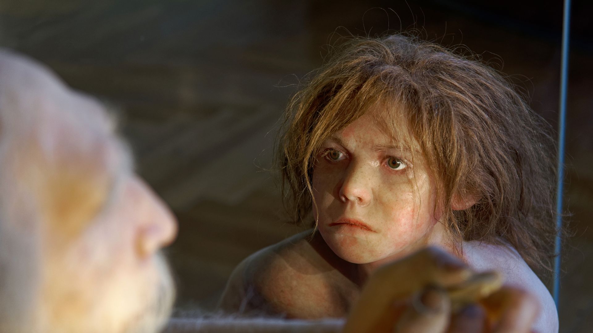 File:Homo neanderthalensis, The Natural History Museum Vienna, 20210730 1225 1278.jpg