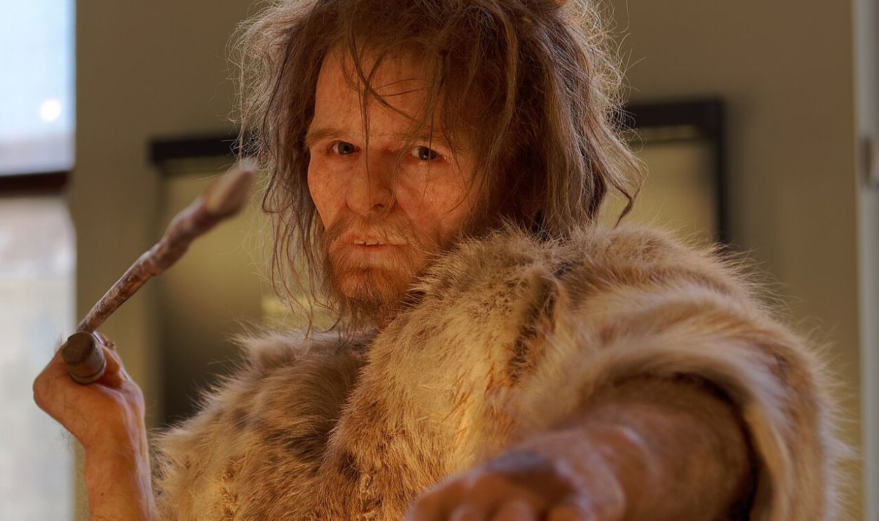 Homo Sapiens, Cro-Magnon 1 The Natural History Museum Vienna