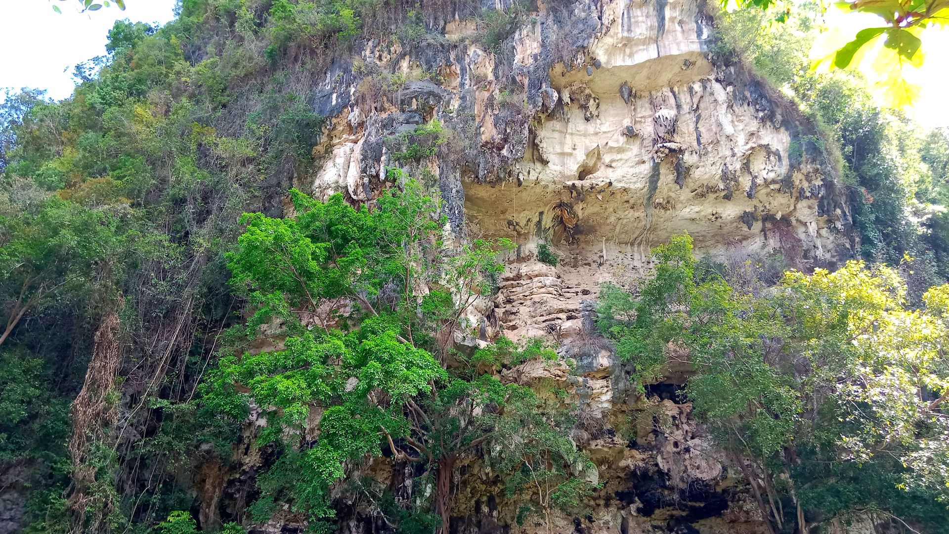 File:Karampuang, a cave which has world's oldest cave painting.jpg