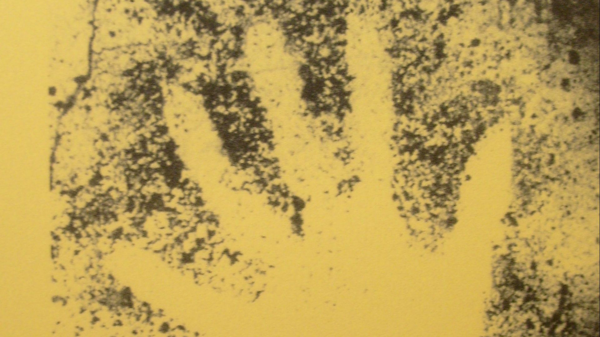 File:Prehistoric Hand Outline Cosquer Cave.JPG