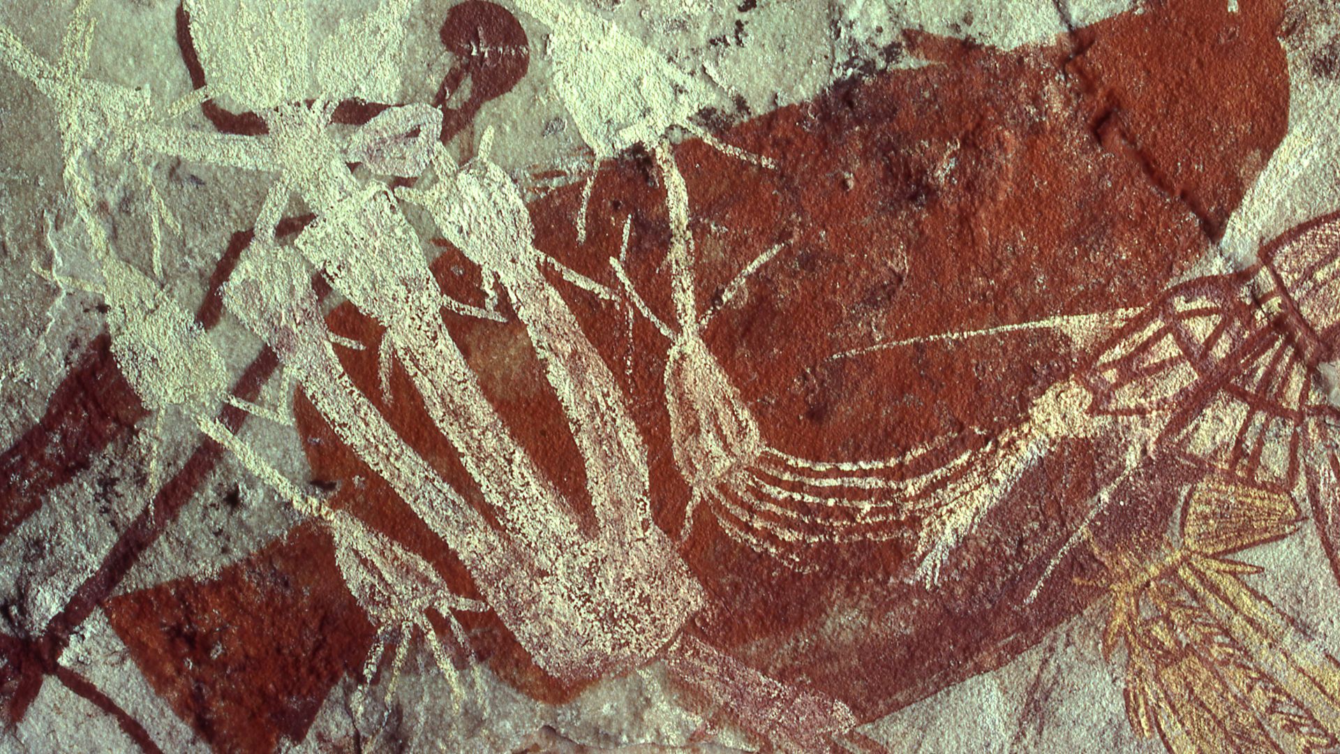 File:(1)Jabiru dreaming-7.jpg