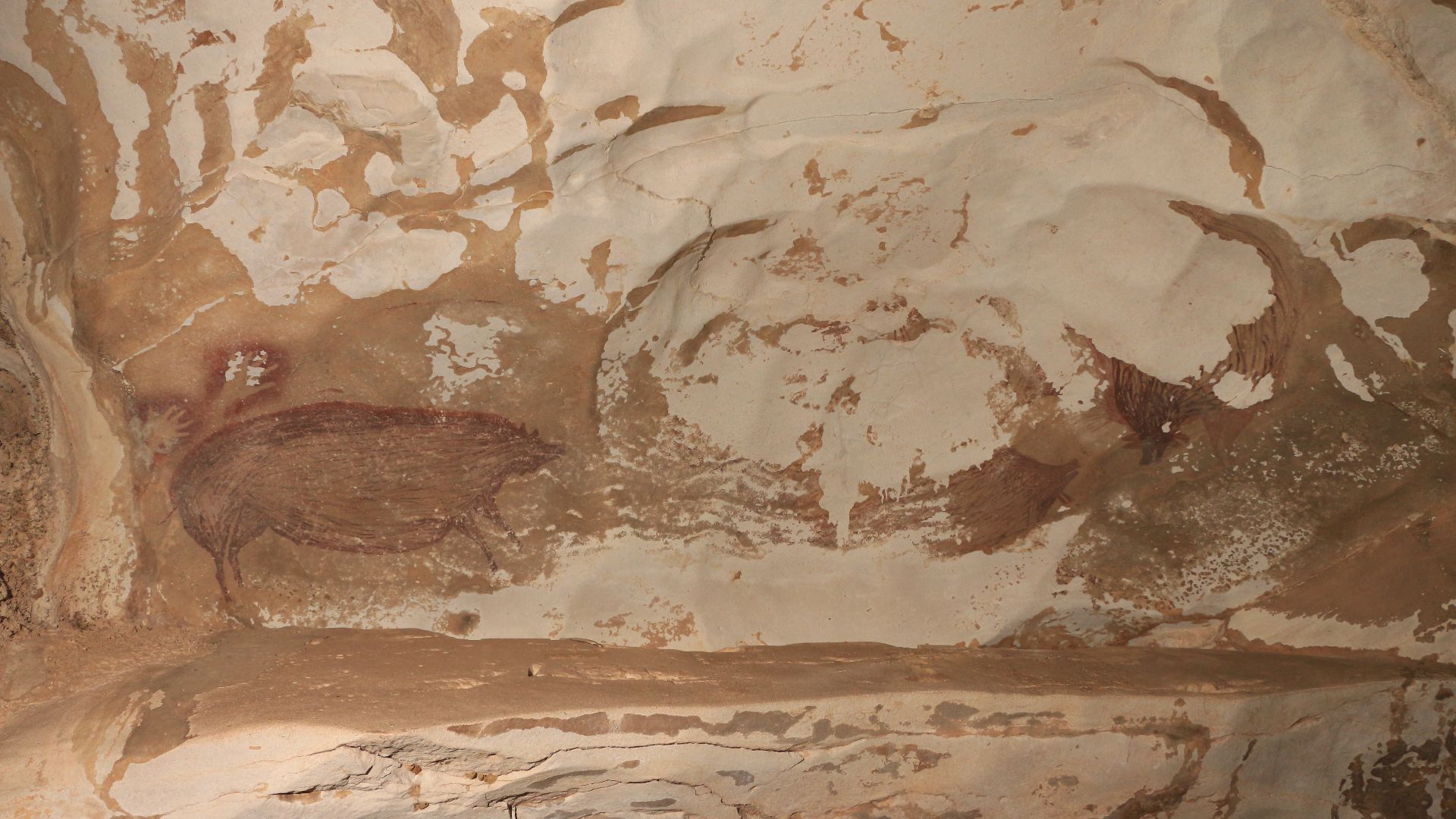 File:Leang Tedongnge rock art panel credit Basran Burhan.jpg