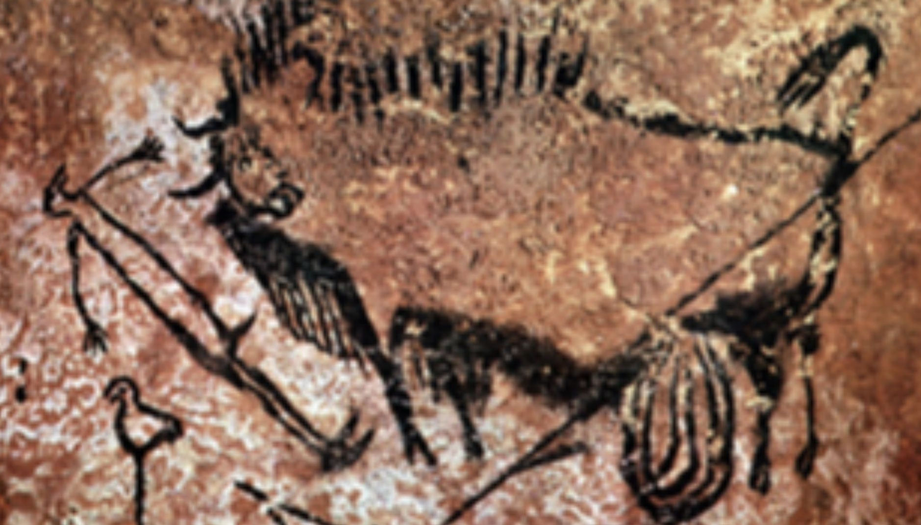 File:Lascaux 01.jpg