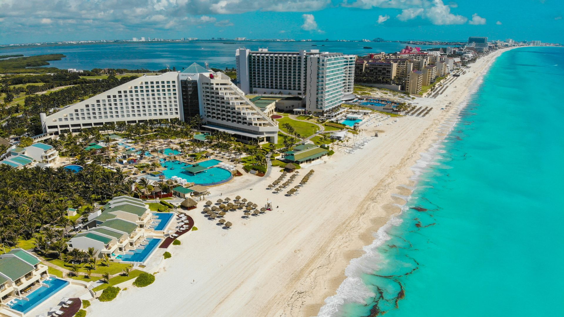 aerial view of people on beach during daytime
