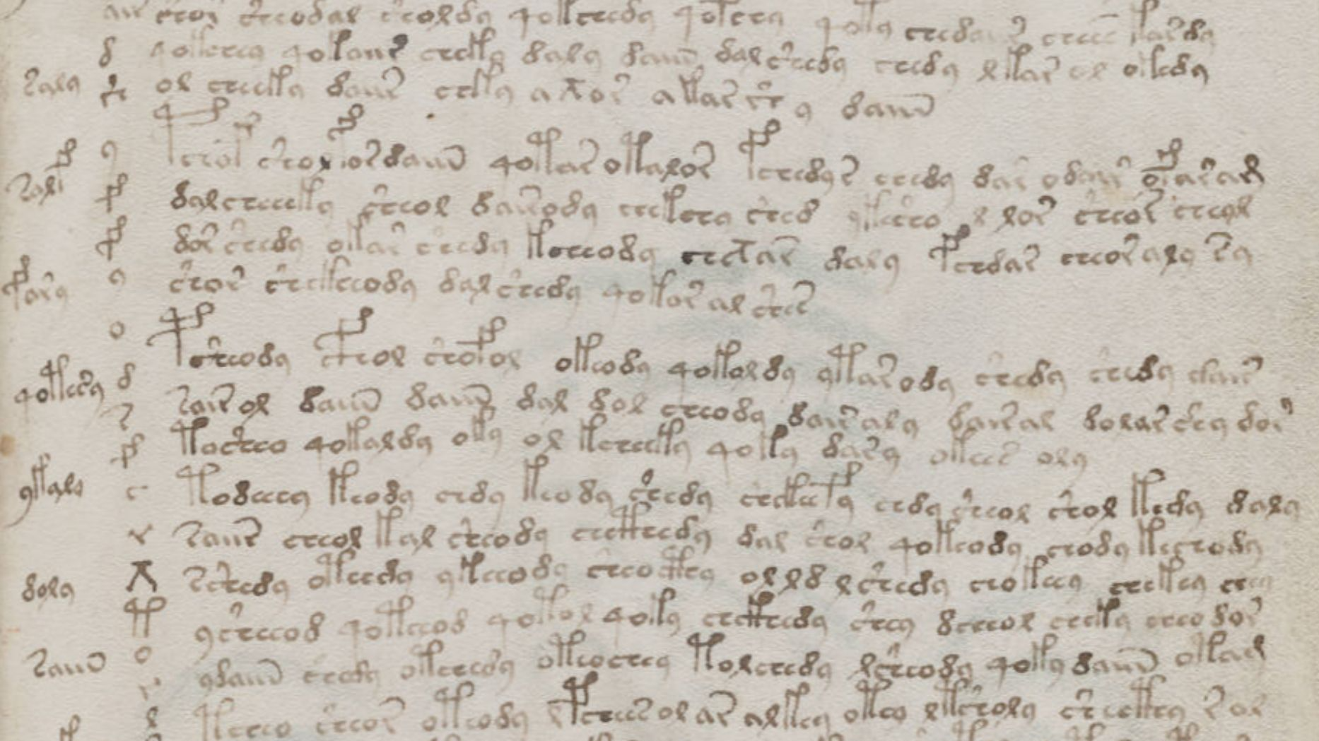 File:Voynich Manuscript (119).jpg