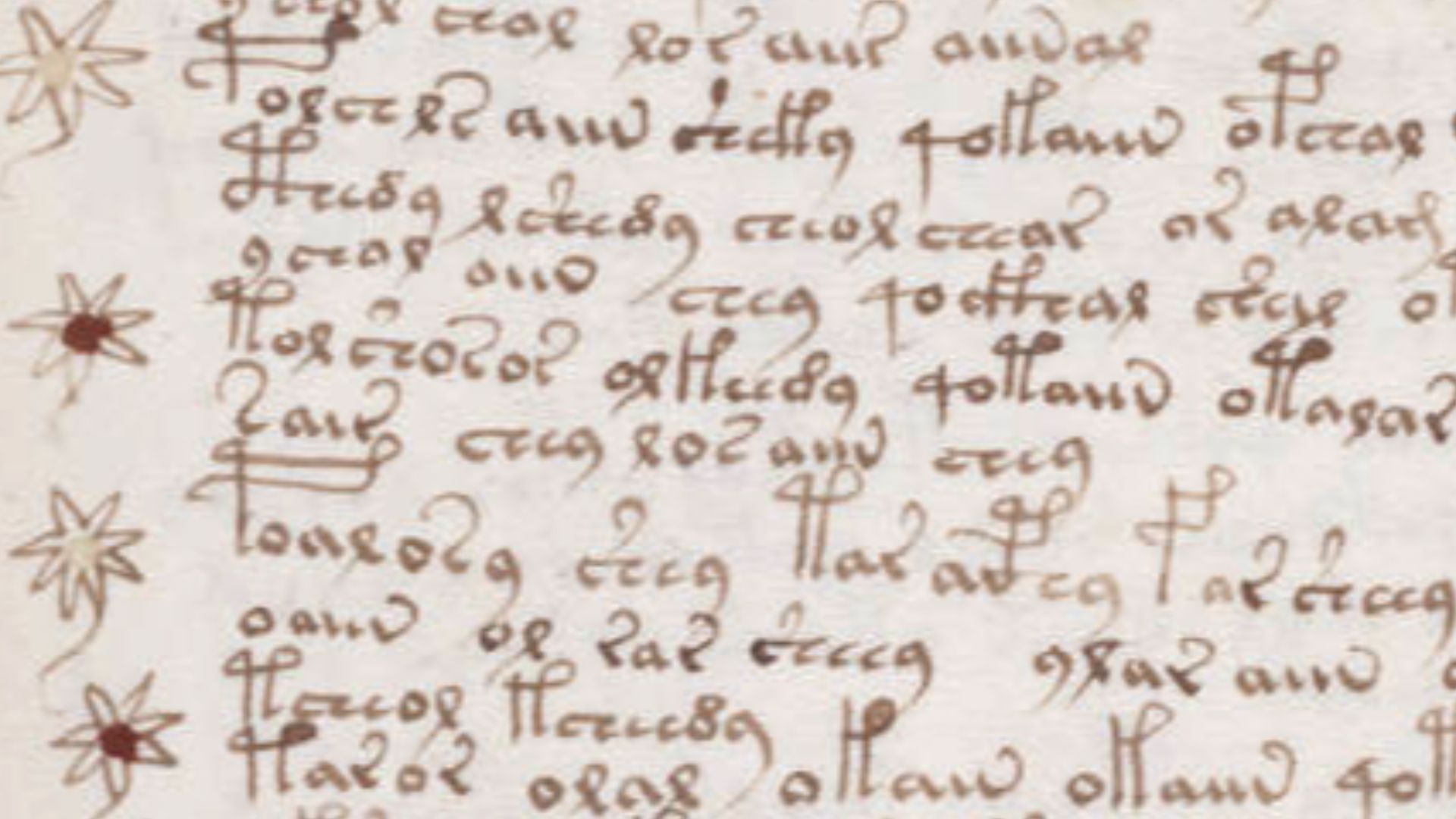 File:Voynich manuscript recipe example 107r crop.jpg
