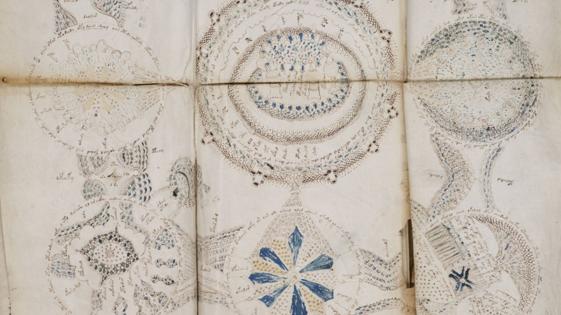 File:Voynich Manuscript (158).jpg