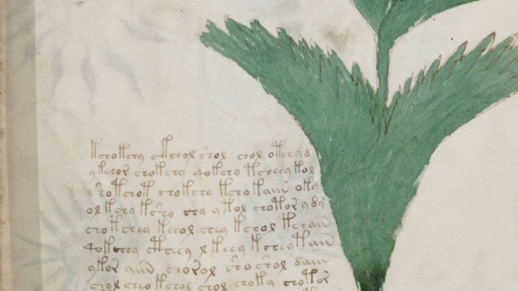 File:Voynich Manuscript (112).jpg