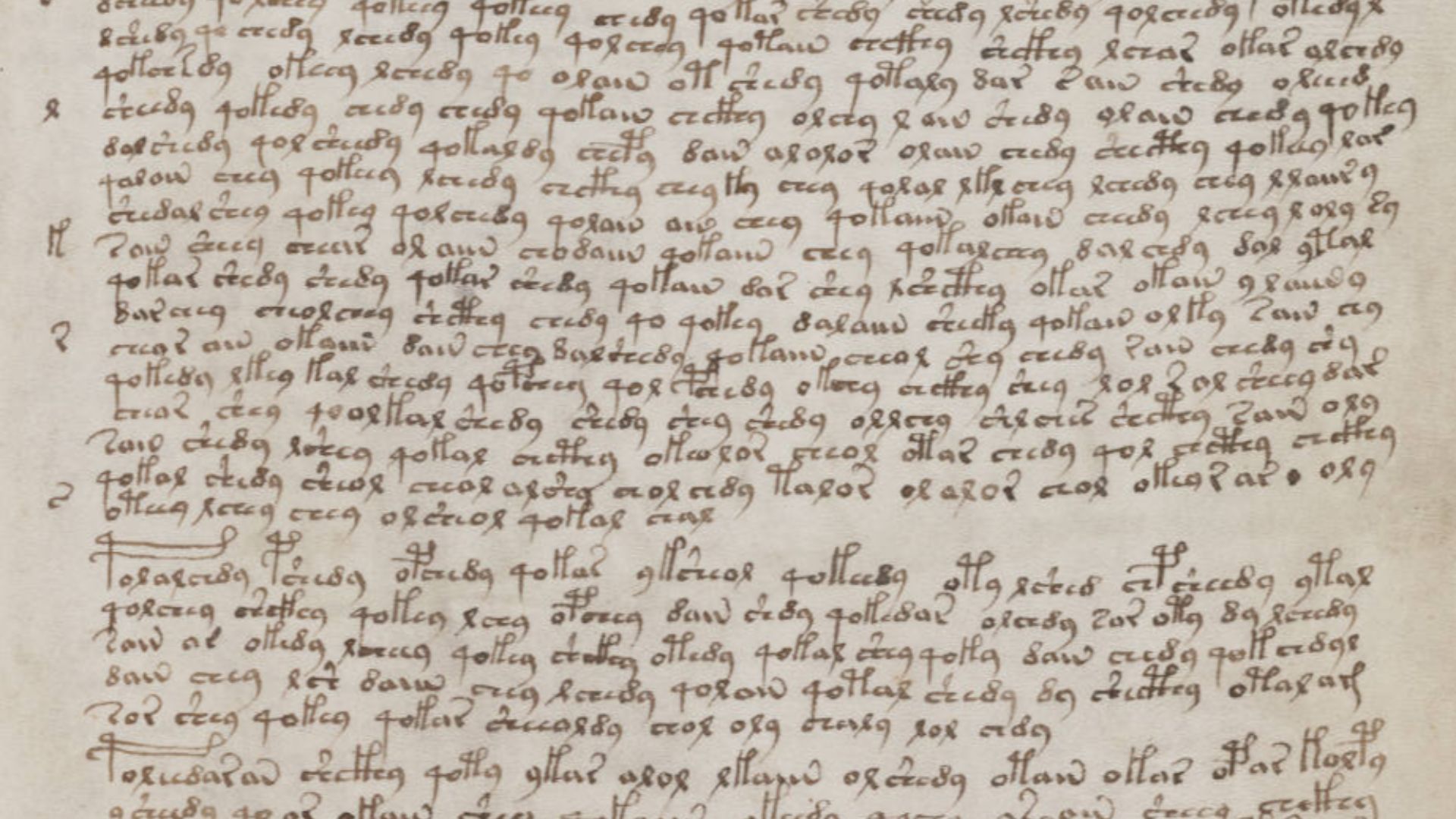 File:Voynich Manuscript (137).jpg