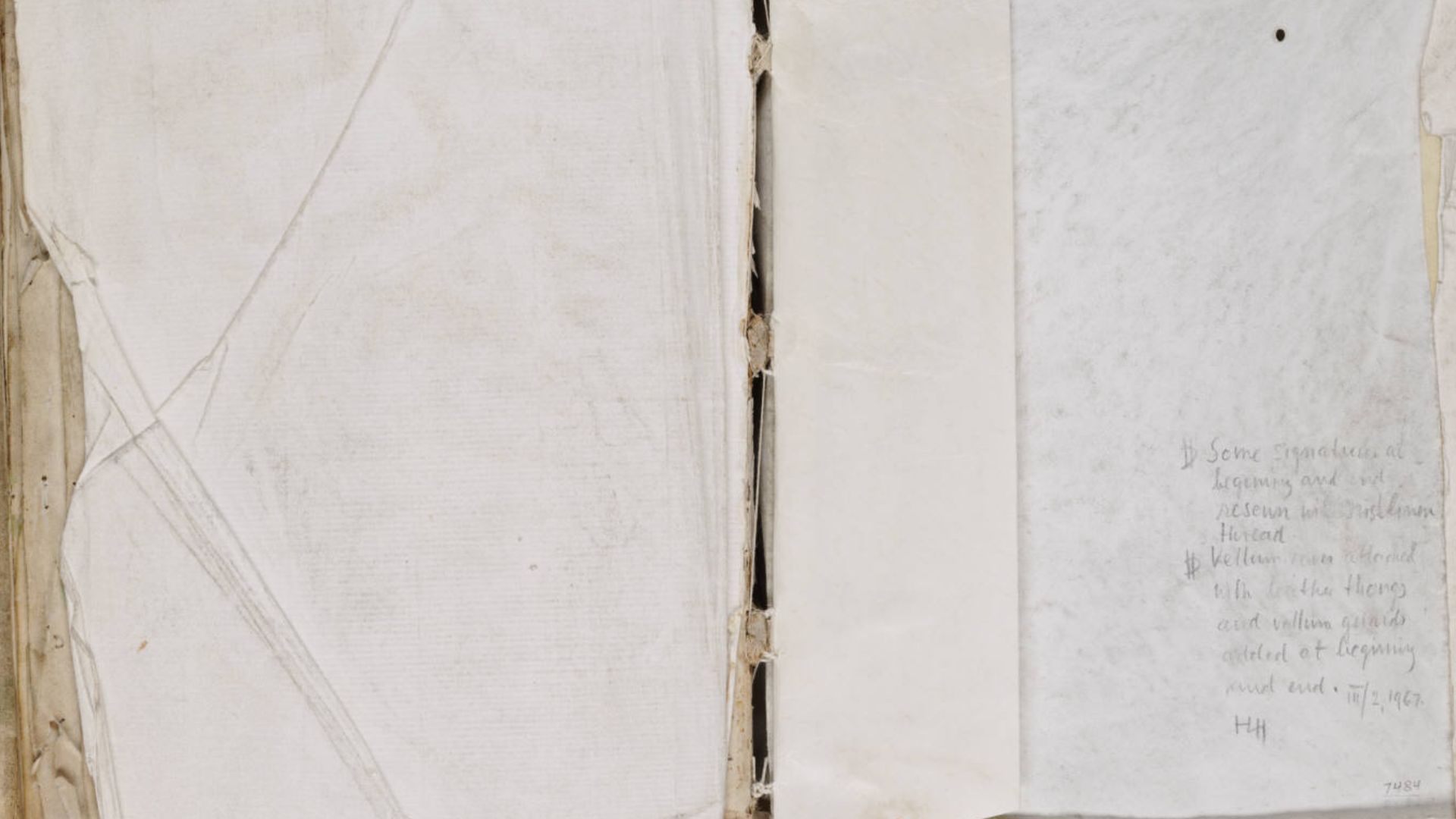 File:Voynich Manuscript (208).jpg