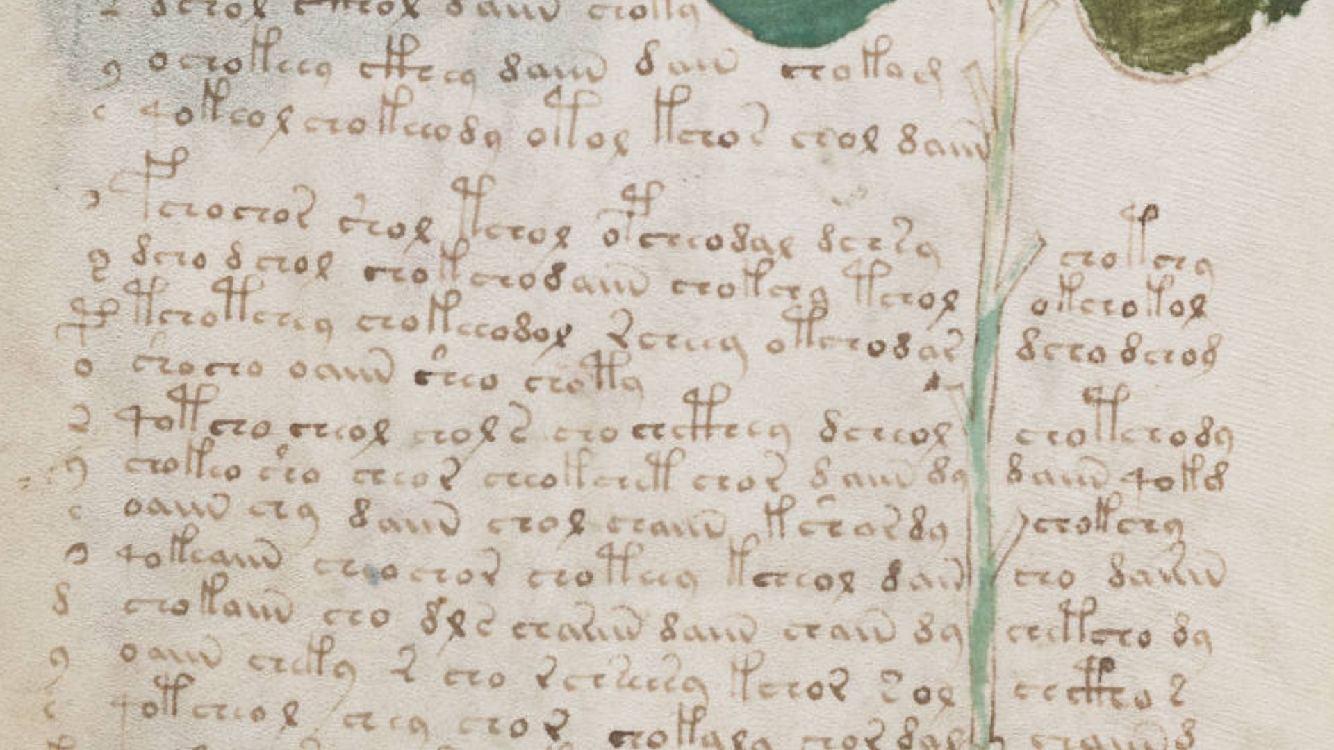 File:Voynich Manuscript (98).jpg